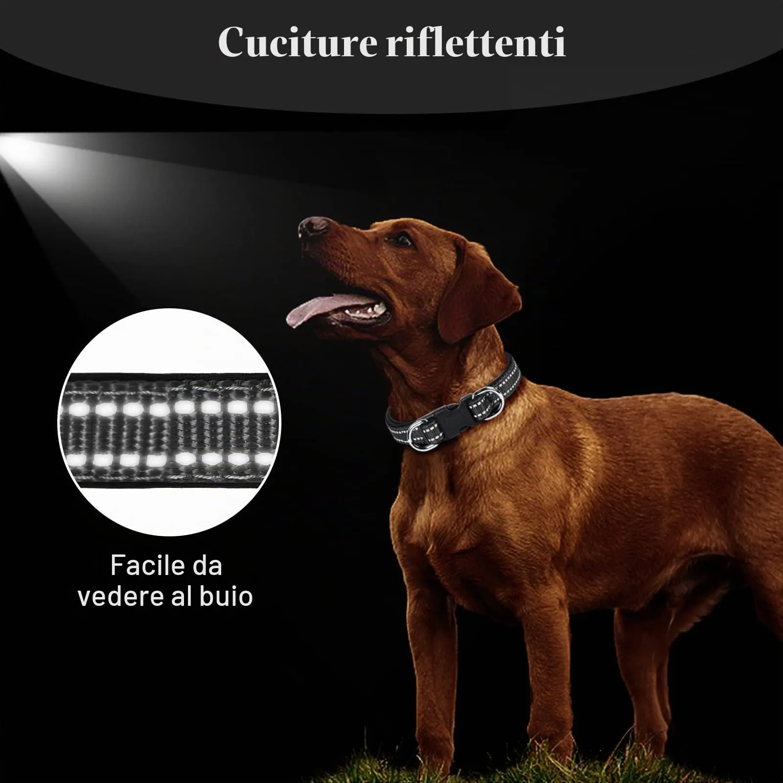 AUAUY Collare Cane in Nylon Riflettente Regolabile con Doppia D, Nero, Taglia M - immagine 6