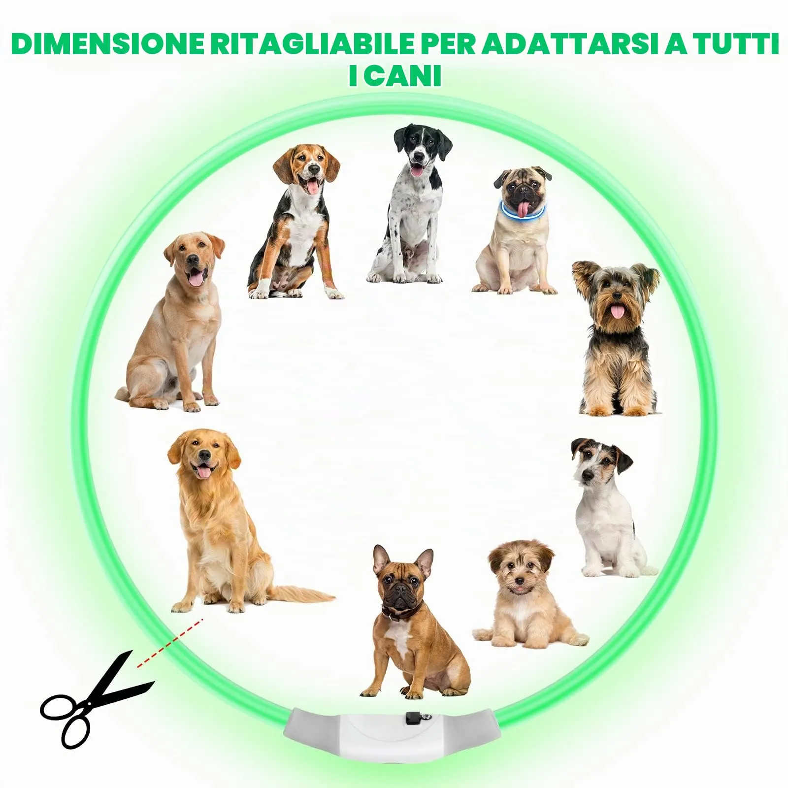 AUAUY Collare Luminoso per Cani LED Ricaricabile USB Regolabile Multicolore - immagine 3