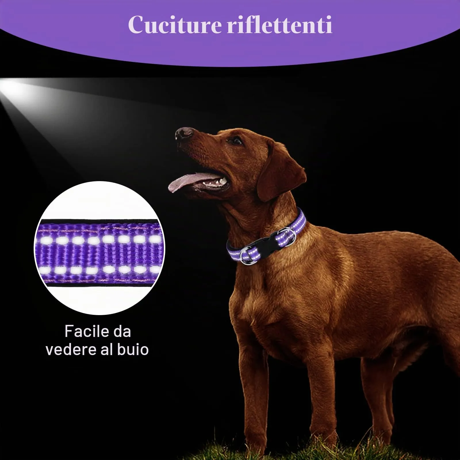 AUAUY Collare Cane in Nylon Riflettente Regolabile con Doppia D, Porpora, M - immagine 6