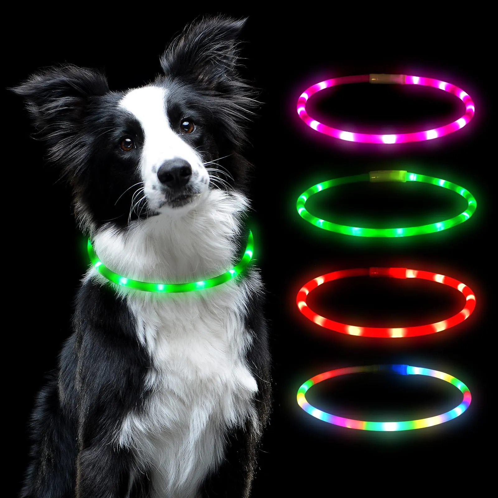 AUAUY Collare Luminoso per Cani LED Ricaricabile USB, Regolabile, Verde - immagine 1