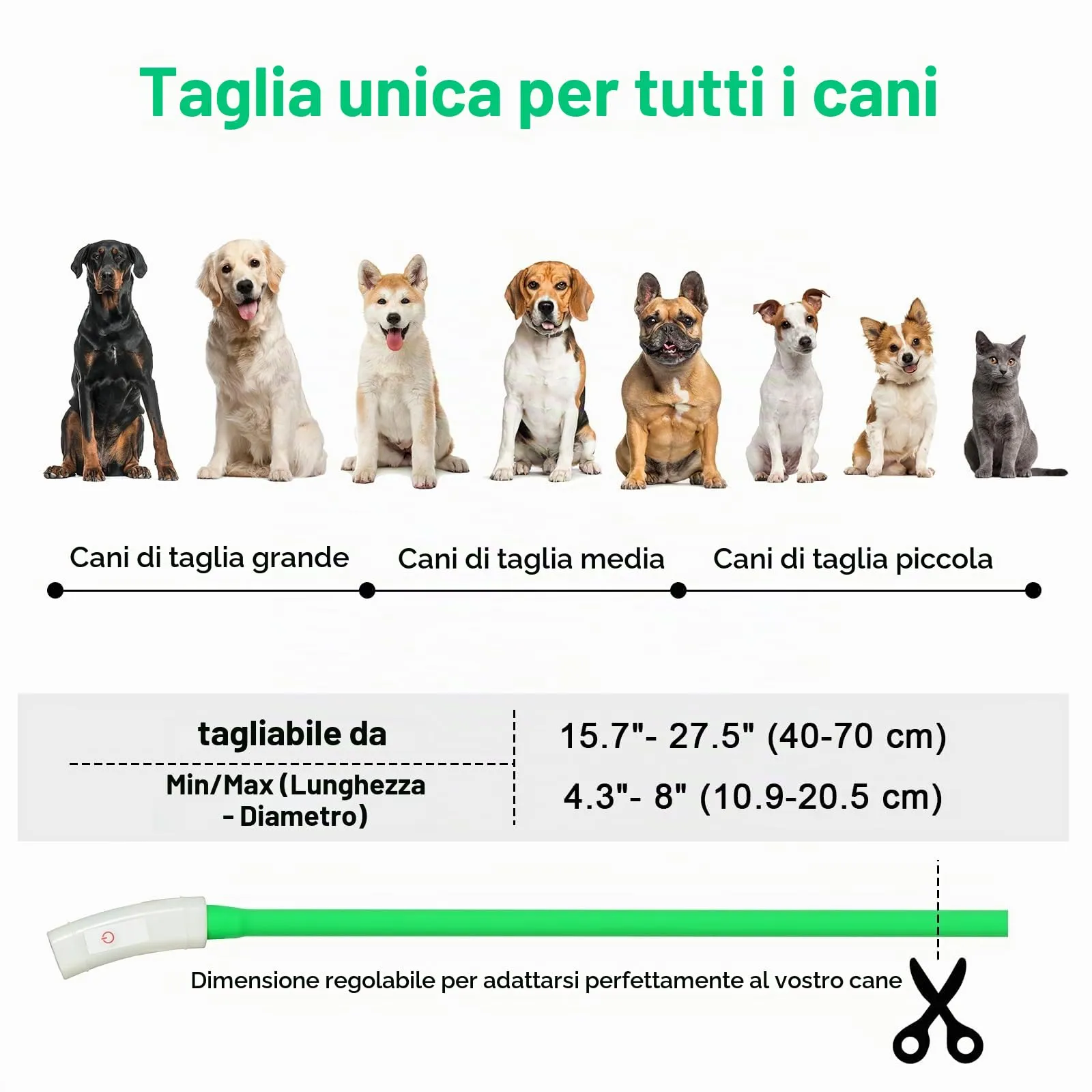 AUAUY Collare Luminoso per Cani LED Ricaricabile USB, Regolabile, Verde - immagine 3