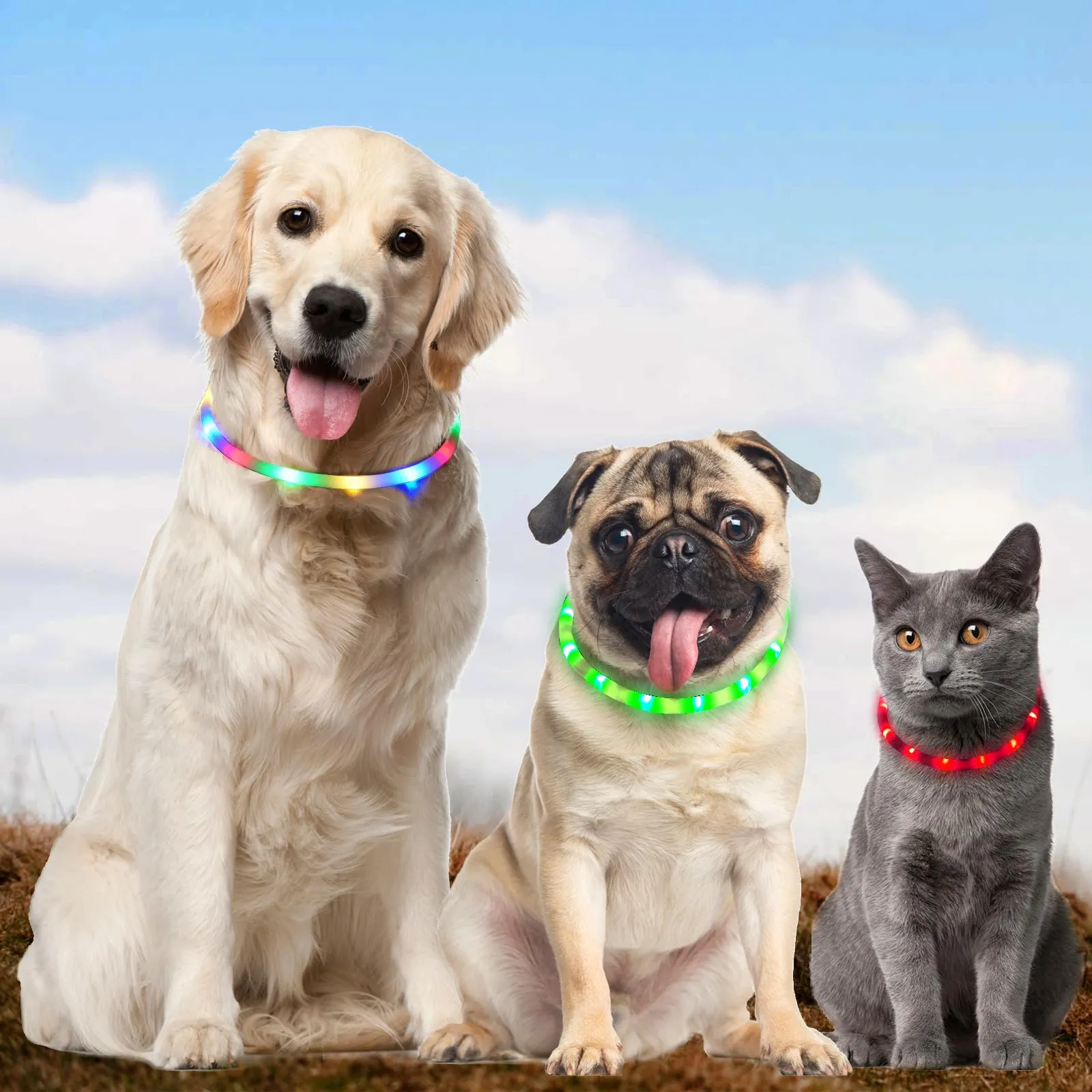 AUAUY Collare Luminoso per Cani LED Ricaricabile USB, Regolabile, Verde - immagine 7