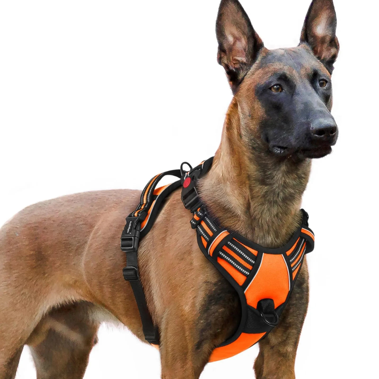 rabbitgoo Pettorina Cane Antifuga ad H con Maniglia e Bande Riflettenti, Arancio, XL - immagine 1