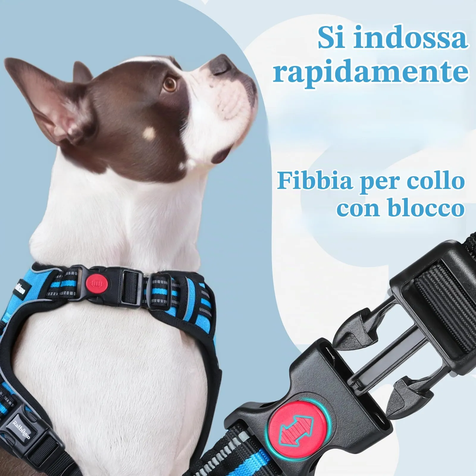 rabbitgoo Pettorina Cane ad H Antifuga, Taglia S, Azzurro - immagine 3