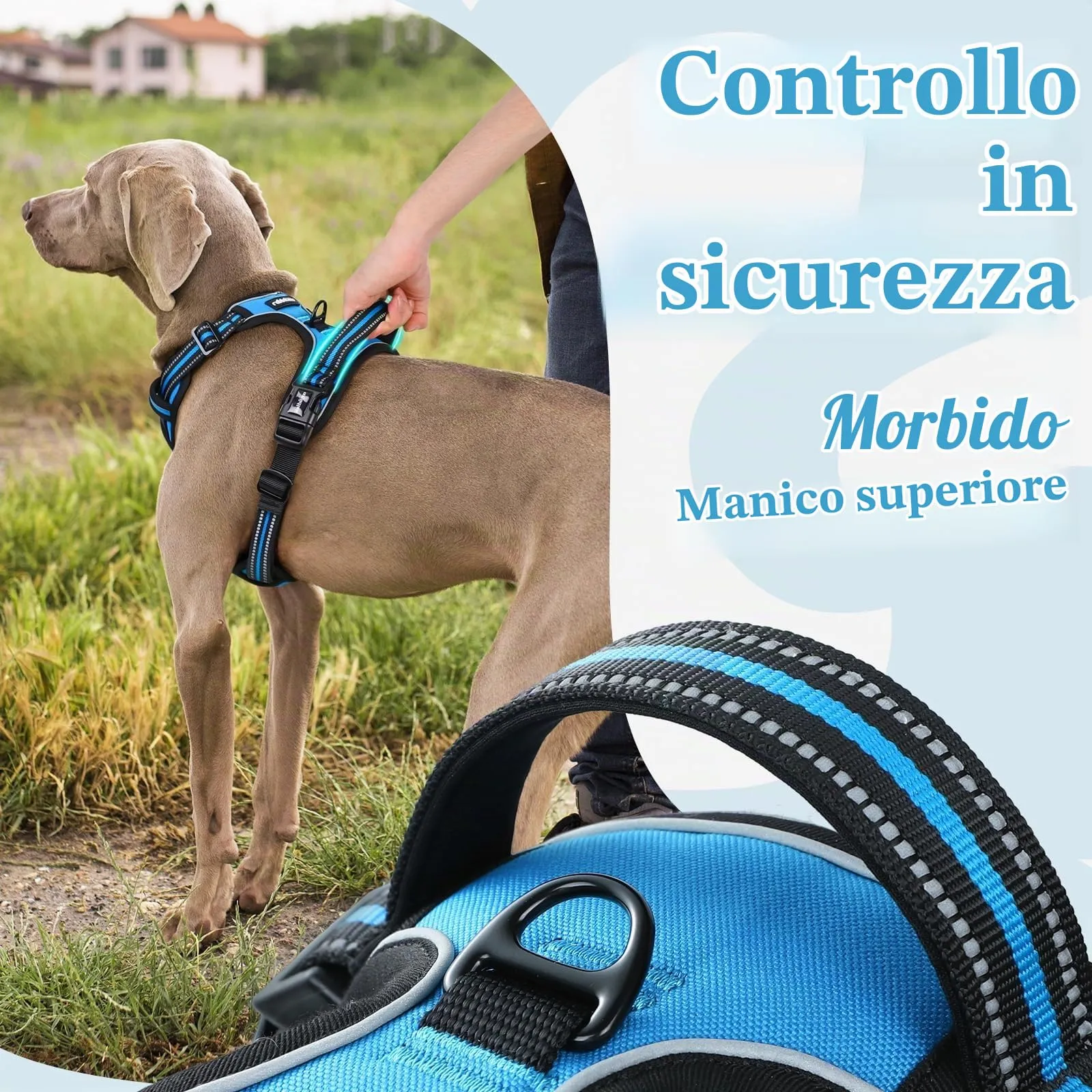 rabbitgoo Pettorina Cane ad H Antifuga, Taglia S, Azzurro - immagine 5