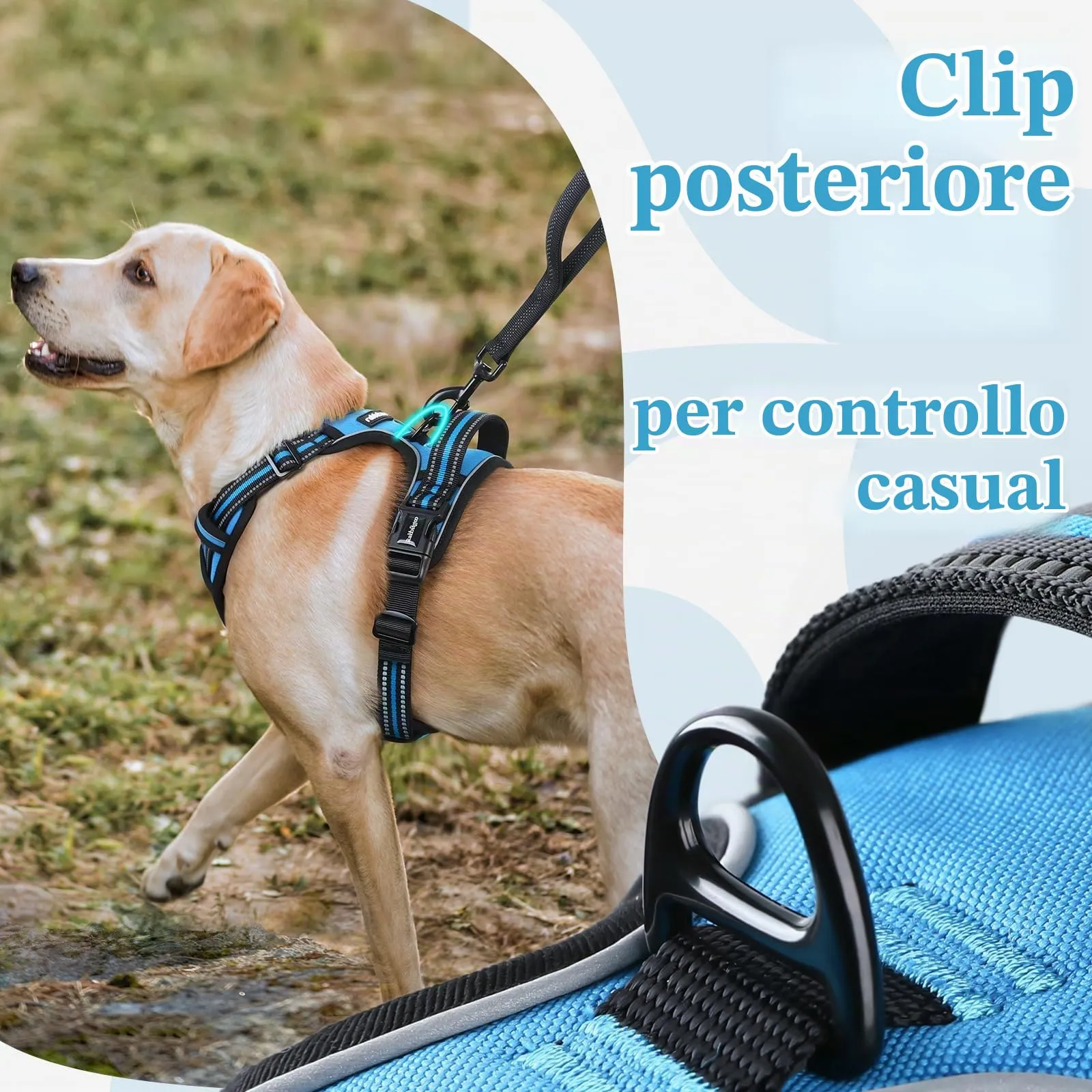rabbitgoo Pettorina Cane Antifuga ad H con Maniglia e Bande Riflettenti, Azzurro, M - immagine 6