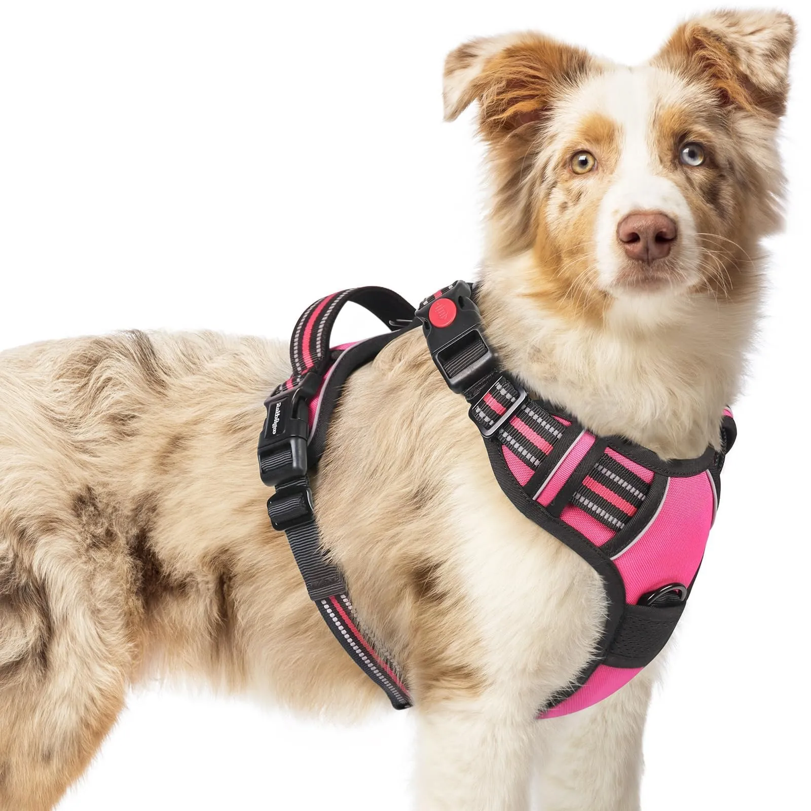 rabbitgoo Pettorina Cane Antifuga ad H, Taglia M, Rosa Rossa - immagine 1