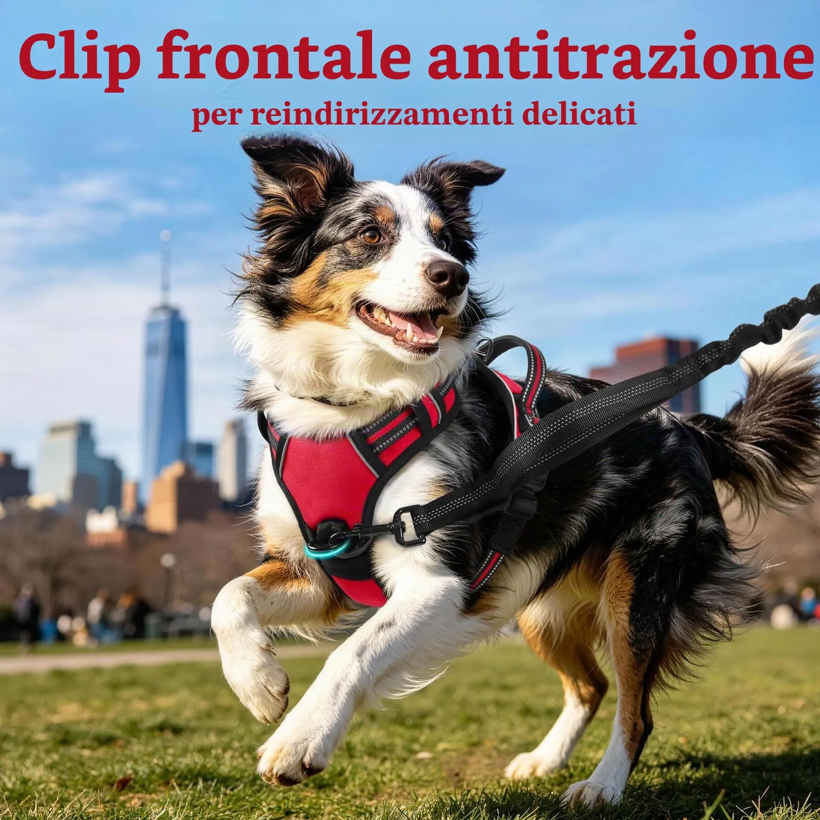 rabbitgoo Pettorina Cane ad H Antifuga con Maniglia e Bande Riflettenti, Rossa, M - immagine 4