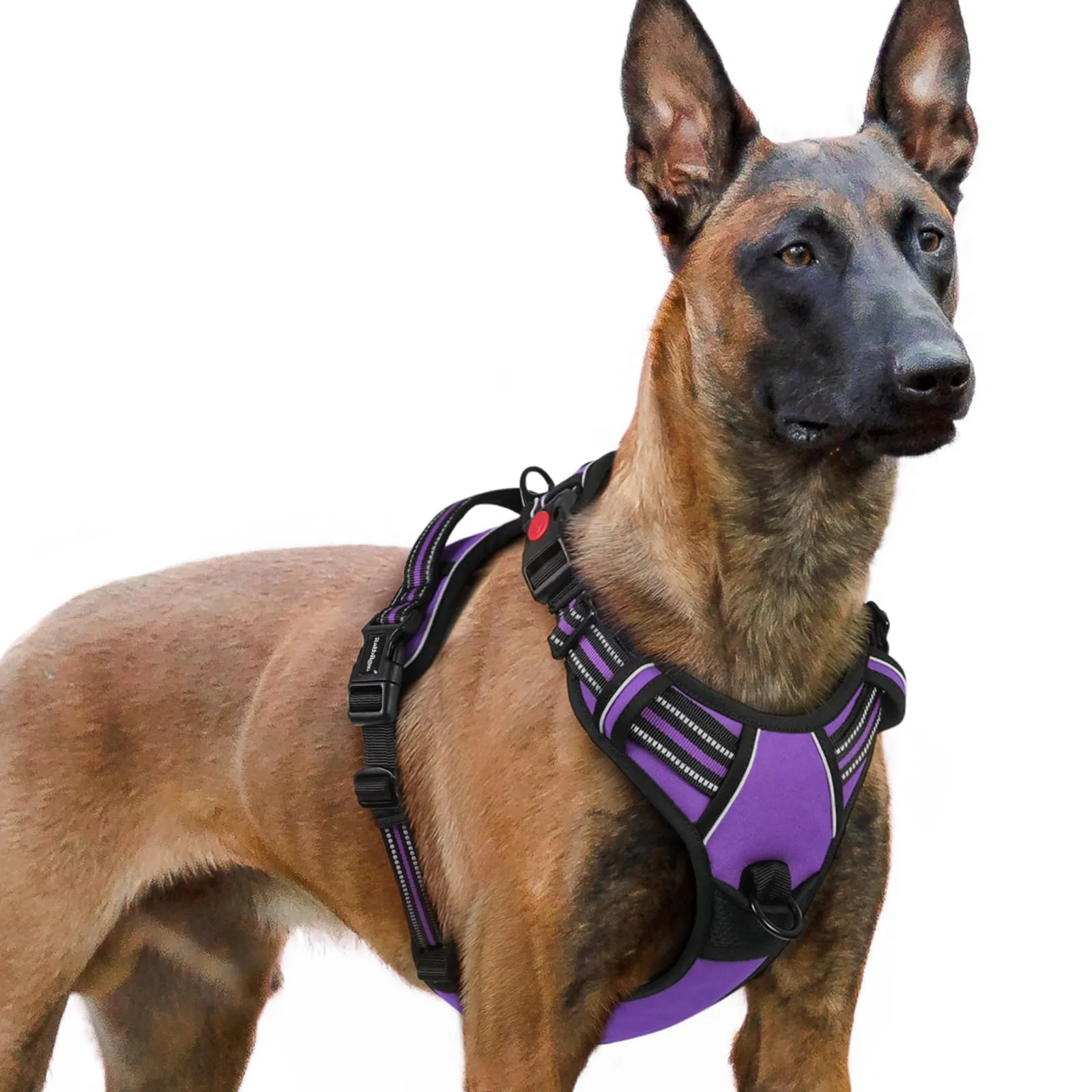 rabbitgoo Pettorina Cane Antifuga ad H con Maniglia e Bande Riflettenti, Viola, XL - immagine 1