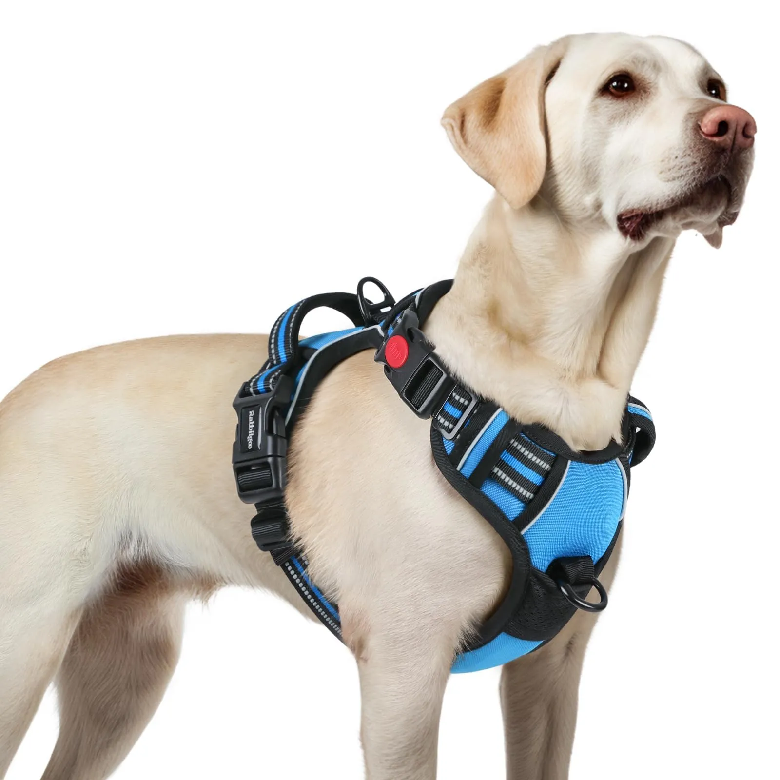 rabbitgoo Pettorina Cane Antifuga ad H con Maniglia e Bande Riflettenti, Azzurro, L - immagine 1