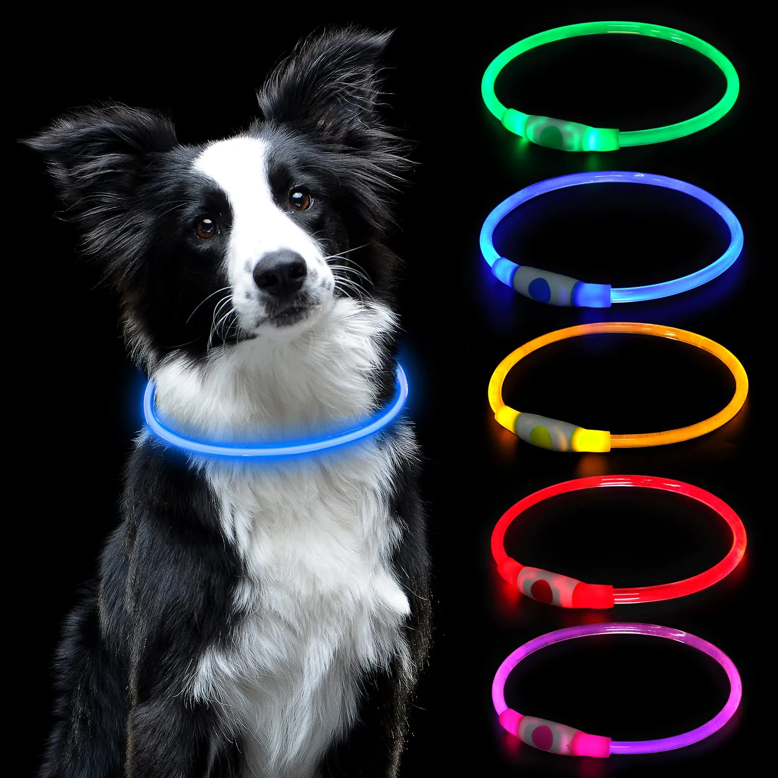 AUAUY Collare Luminoso per Cani LED Ricaricabile USB Regolabile, Blu - immagine 1
