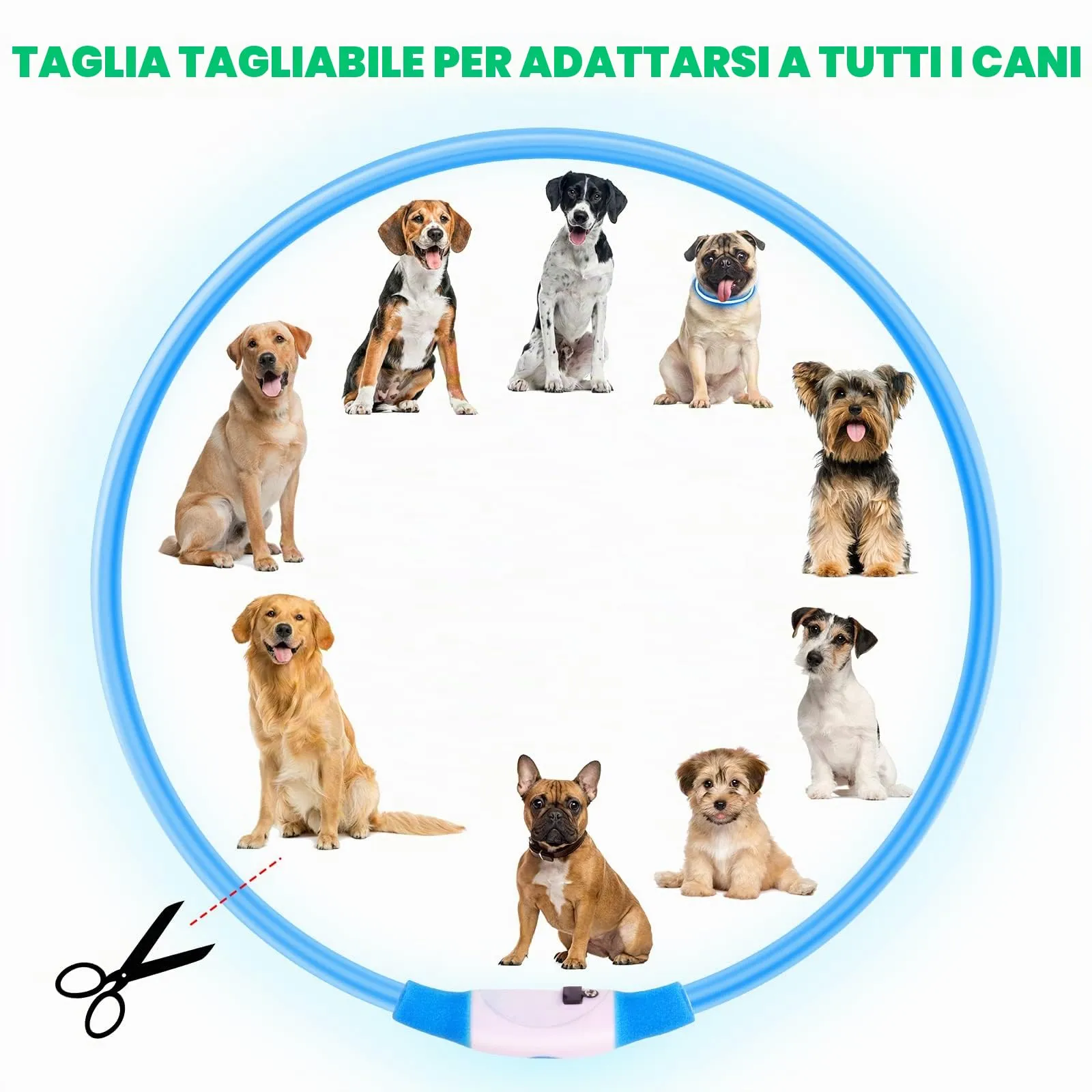 AUAUY Collare Luminoso per Cani LED Ricaricabile USB Regolabile, Blu - immagine 2