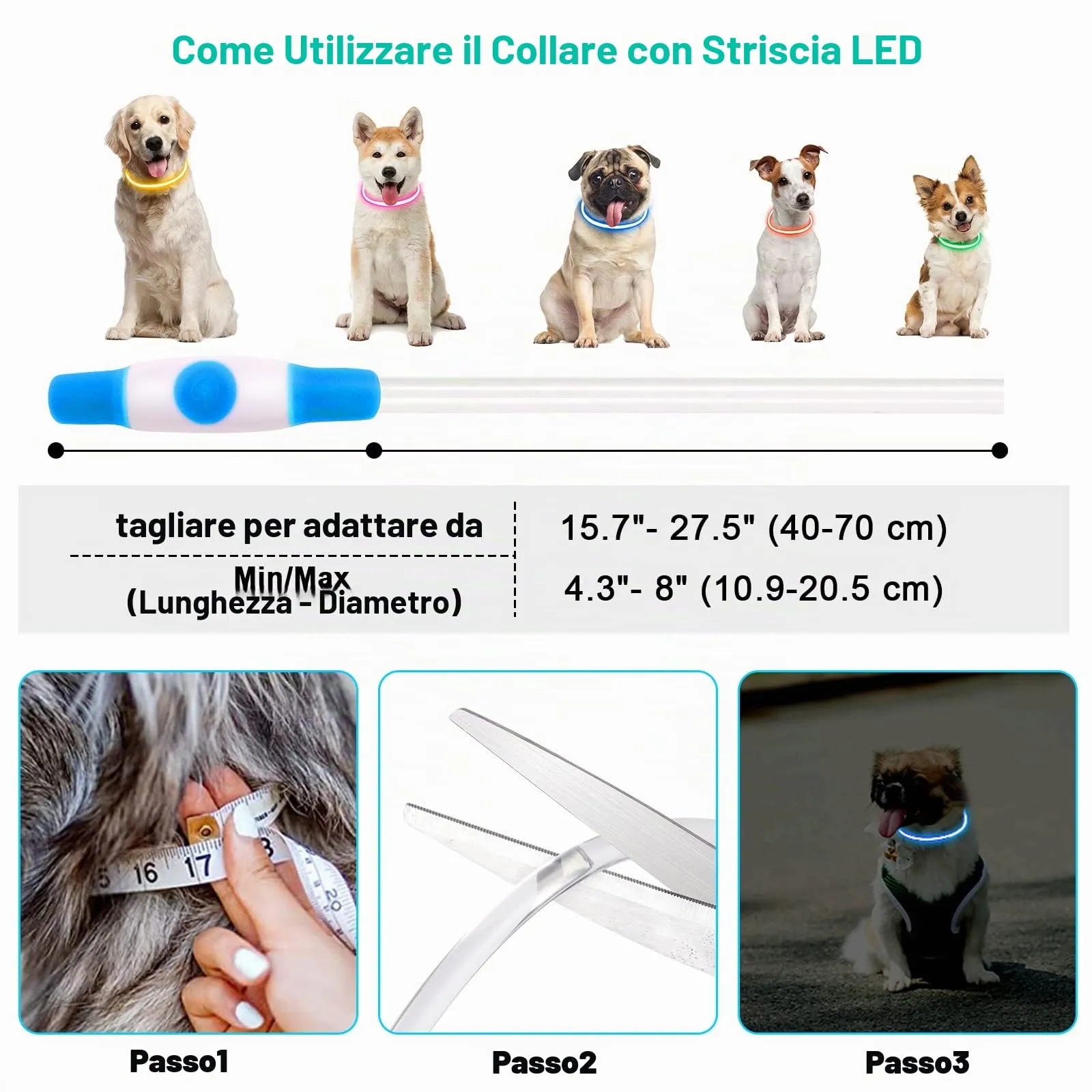 AUAUY Collare Luminoso per Cani LED Ricaricabile USB Regolabile, Blu - immagine 3