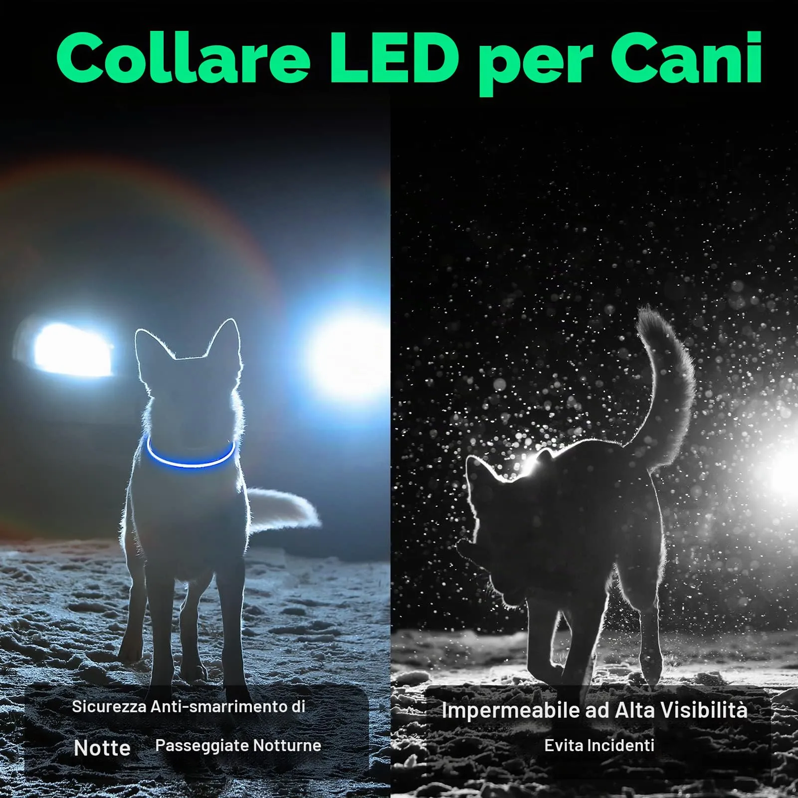 AUAUY Collare Luminoso per Cani LED Ricaricabile USB Regolabile, Blu - immagine 6