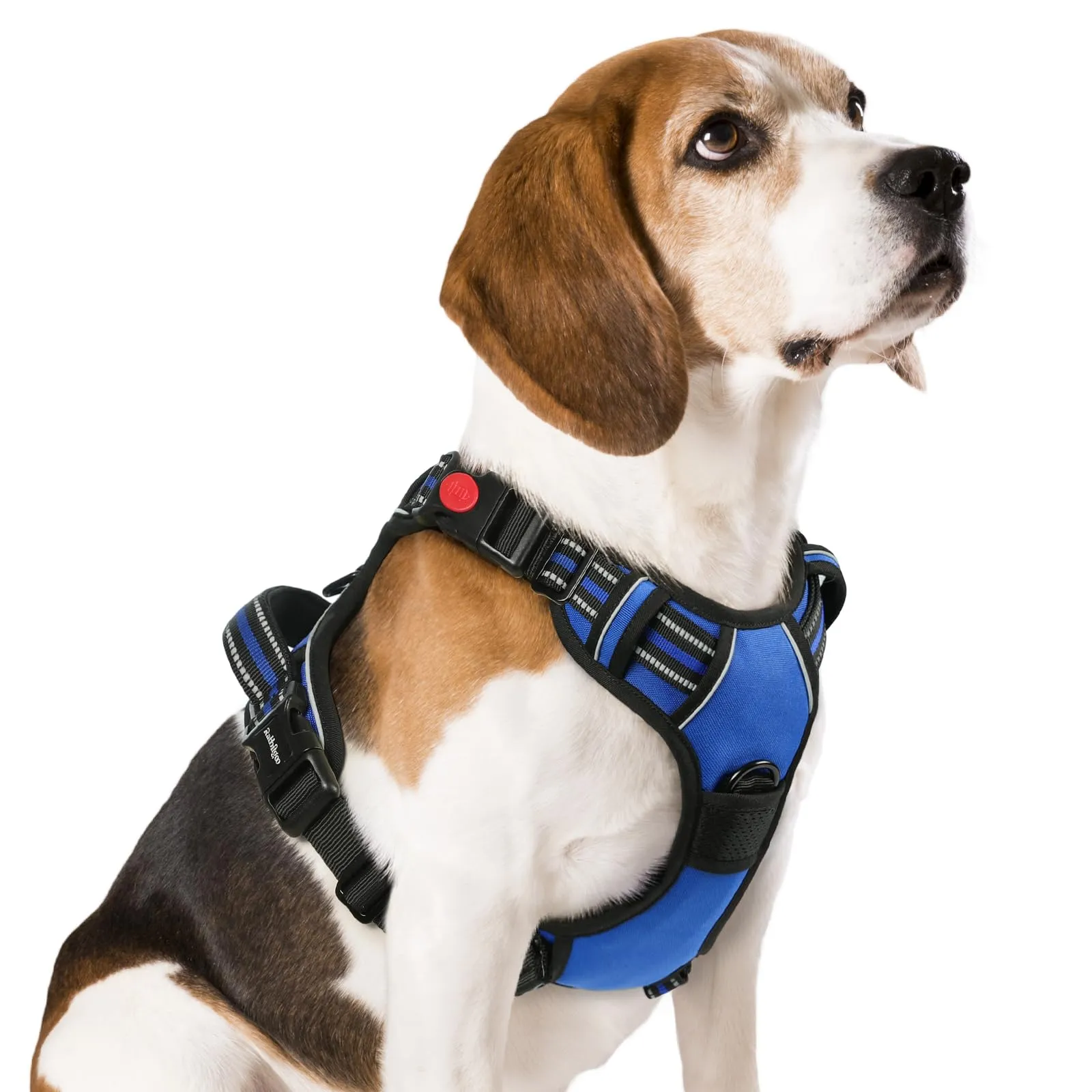 rabbitgoo Pettorina Cane ad H Antifuga con Maniglia e Bande Riflettenti, Blu, M - immagine 1