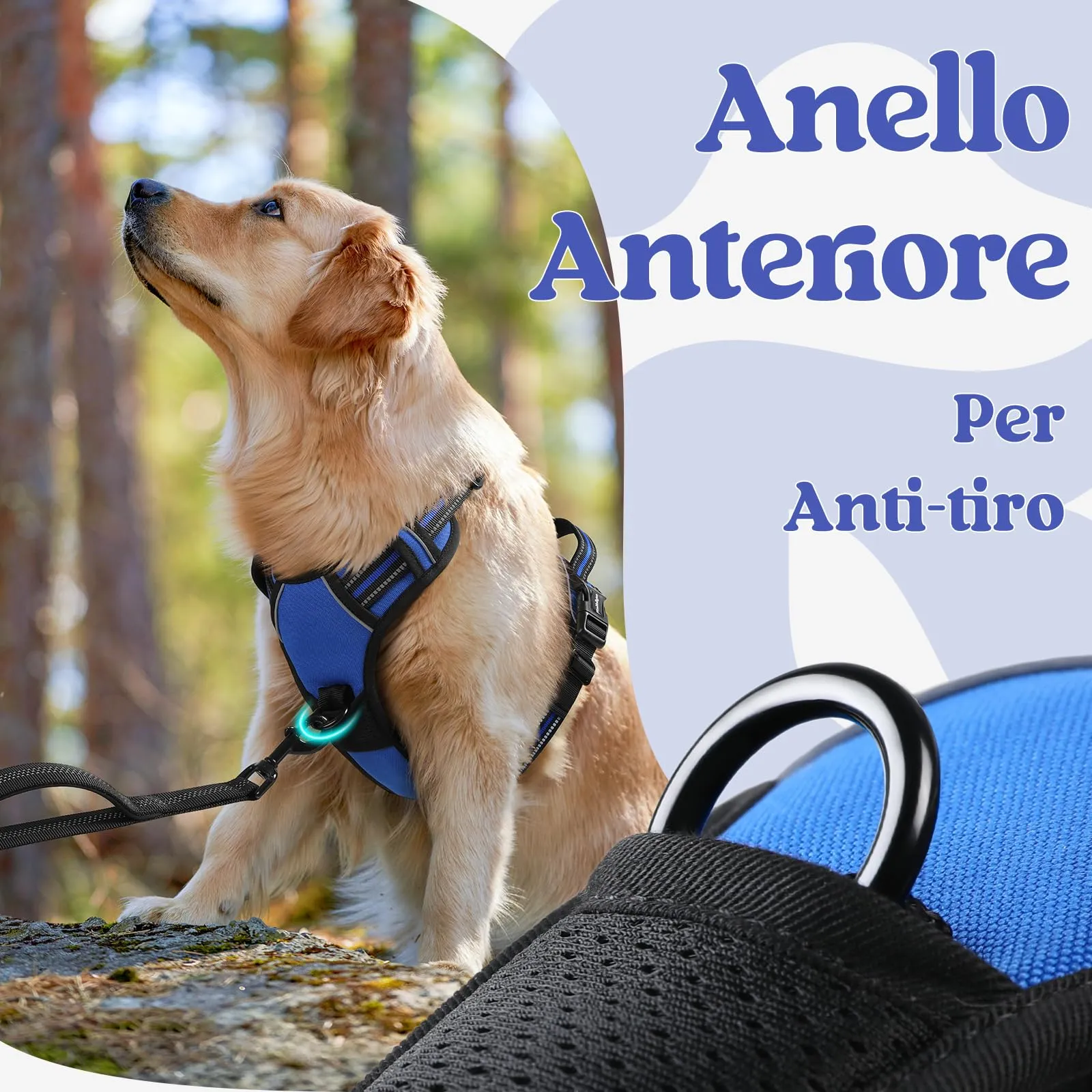 rabbitgoo Pettorina Cane ad H Antifuga con Maniglia e Bande Riflettenti, Blu, M - immagine 7