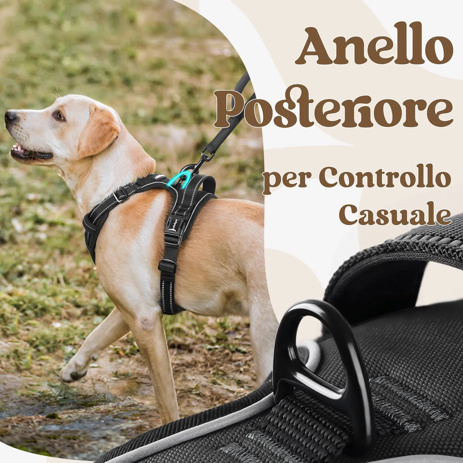 rabbitgoo Pettorina Cane ad H Antifuga con Maniglia e Bande Riflettenti, Nera, XL - immagine 7