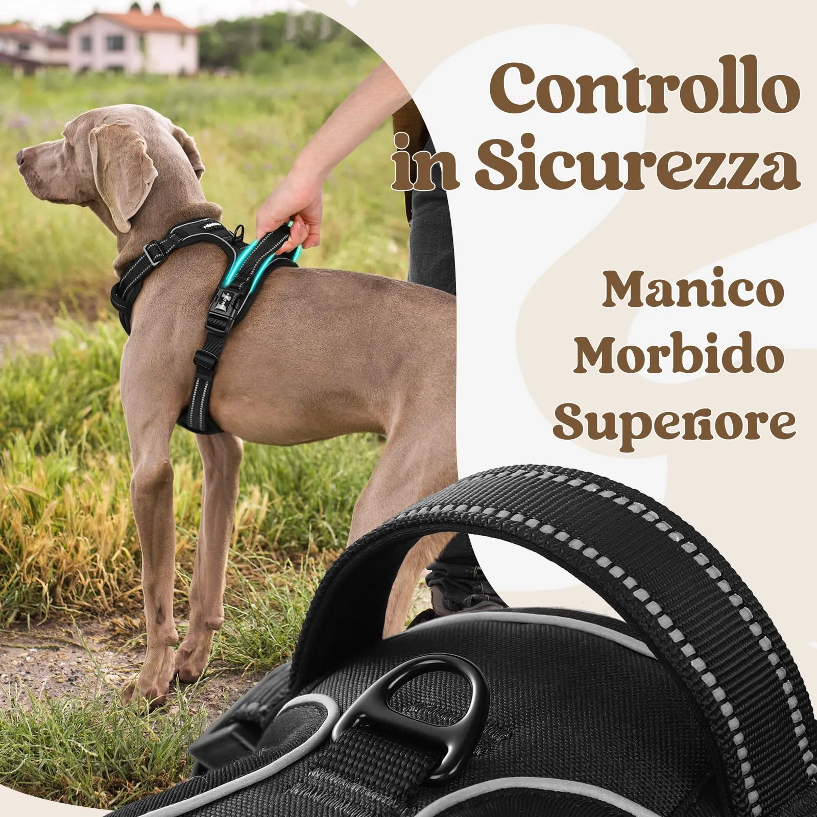 rabbitgoo Pettorina Cane Antifuga ad H con Maniglia Rinforzata e Bande Riflettenti, Nera, L - immagine 5