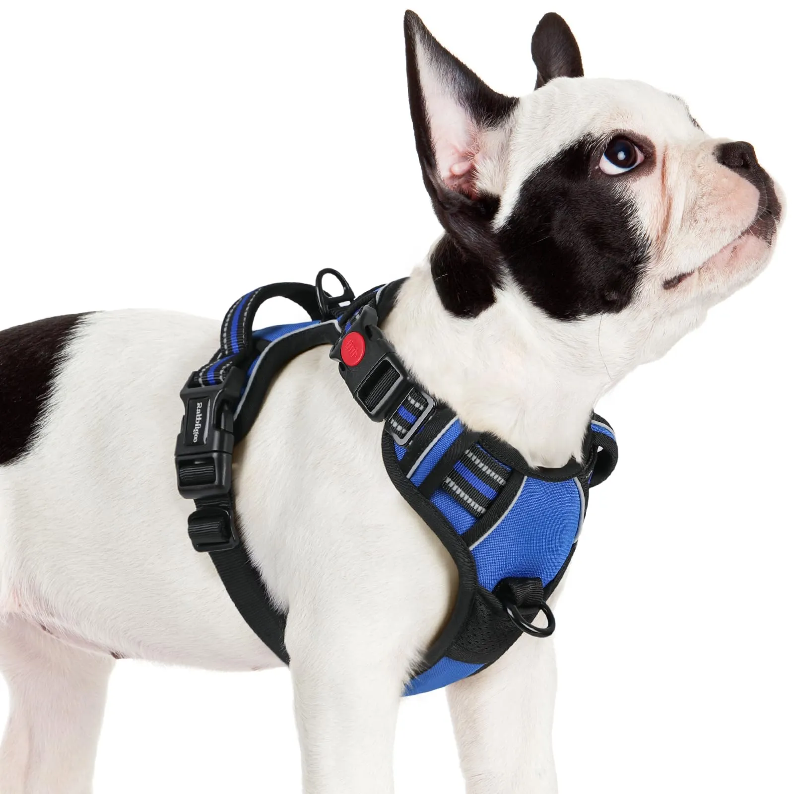 rabbitgoo Pettorina Cane ad H Antifuga, Taglia S, Blu - immagine 1