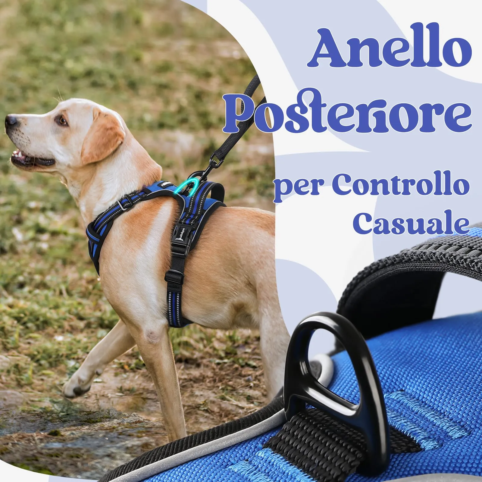 rabbitgoo Pettorina Cane ad H Antifuga, Taglia S, Blu - immagine 6