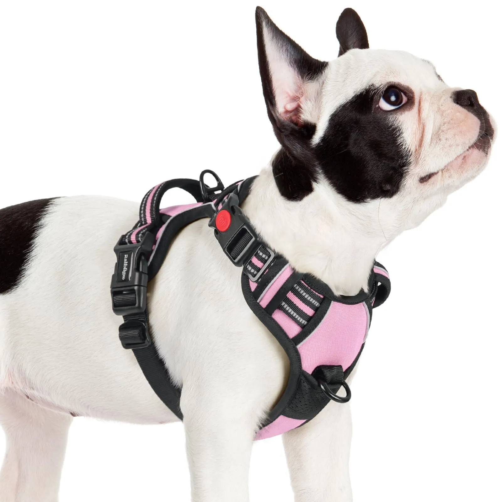 rabbitgoo Pettorina Cane ad H Antifuga con Maniglia e Bande Riflettenti, Rosa, S - immagine 1