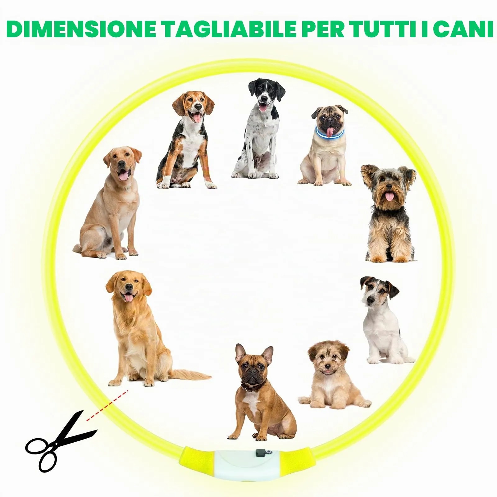 AUAUY Collare Luminoso per Cani LED Ricaricabile USB, Regolabile, Giallo - immagine 2