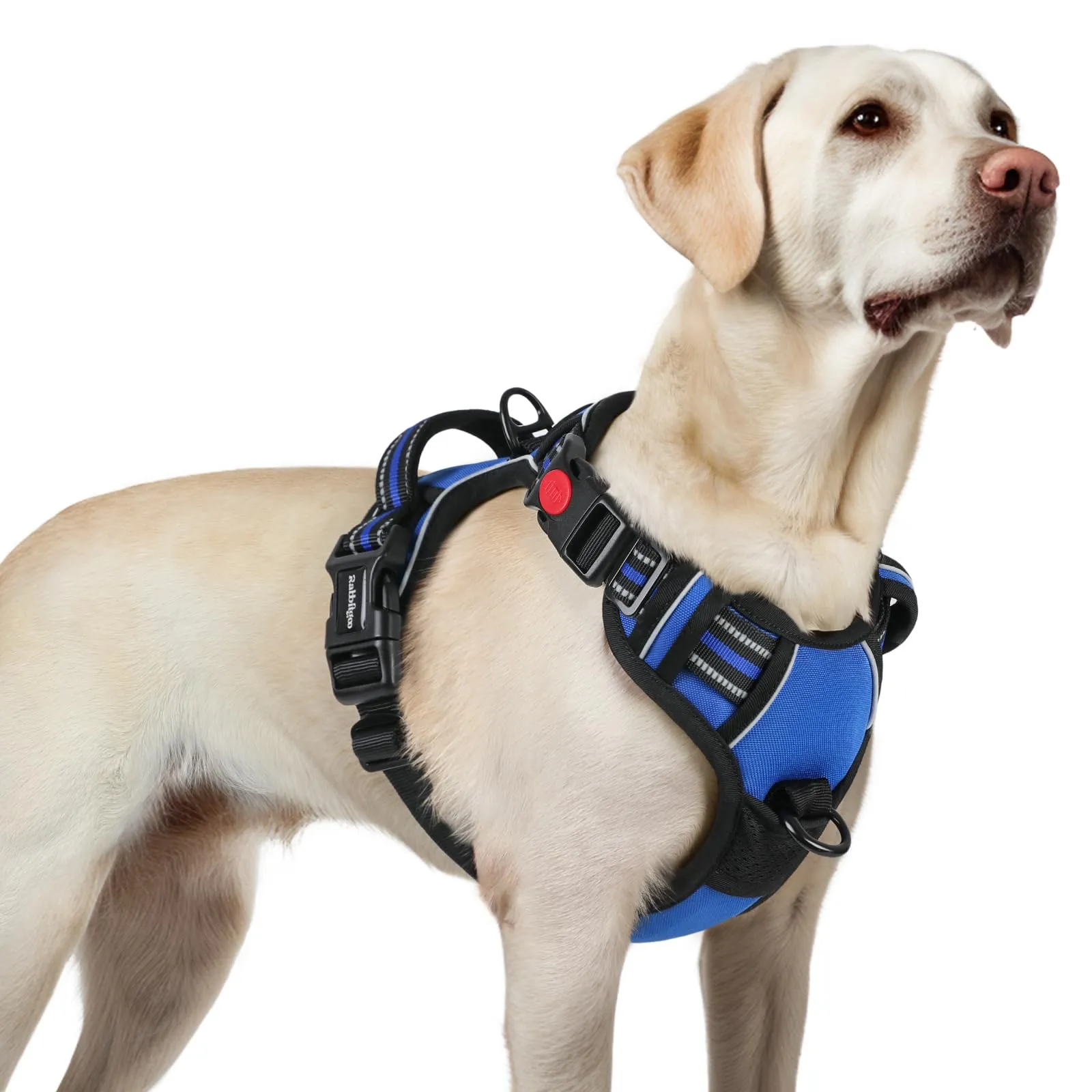 rabbitgoo Pettorina Cane Antifuga ad H con Maniglia e Bande Riflettenti, Blu, L - immagine 1