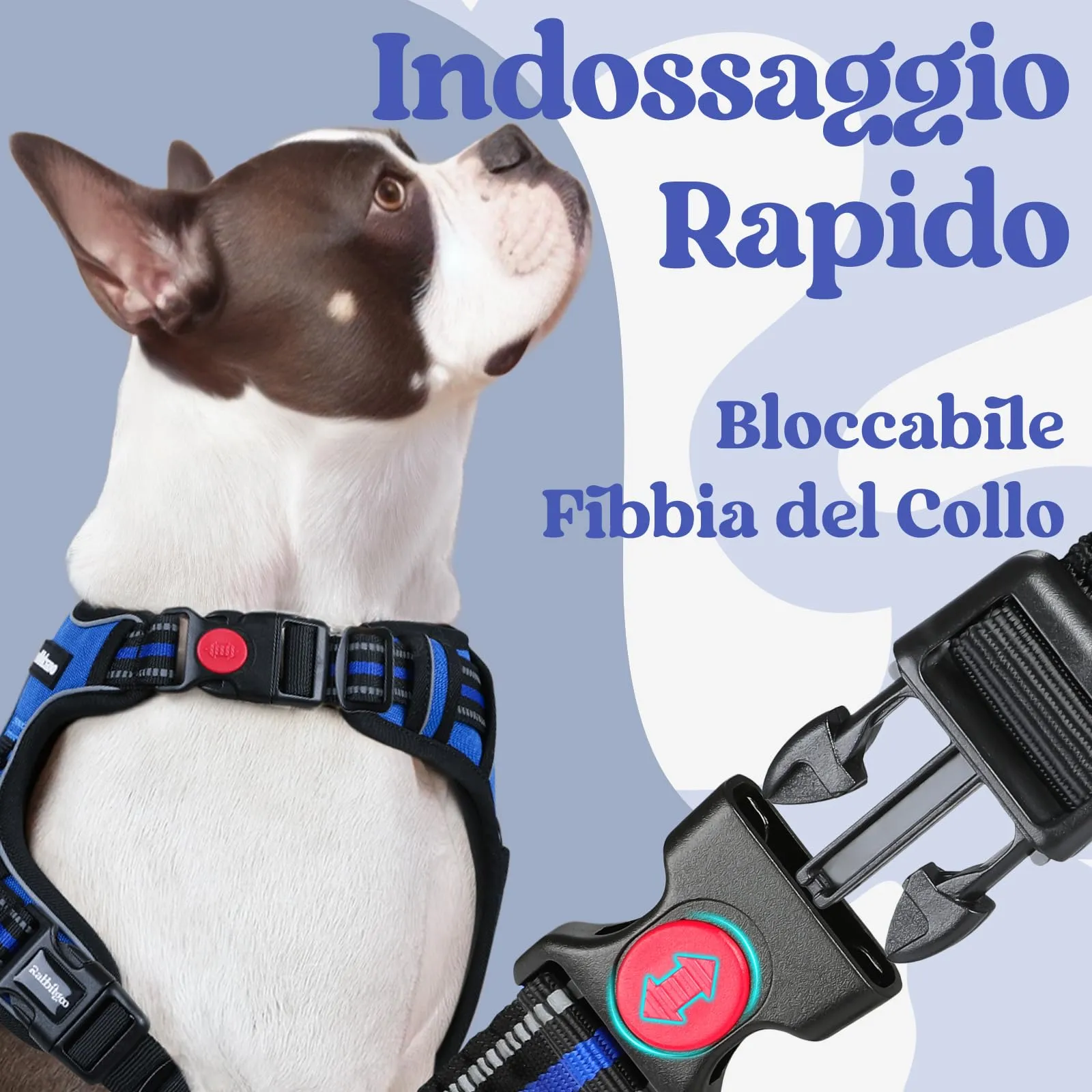 rabbitgoo Pettorina Cane Antifuga ad H con Maniglia e Bande Riflettenti, Blu, L - immagine 3