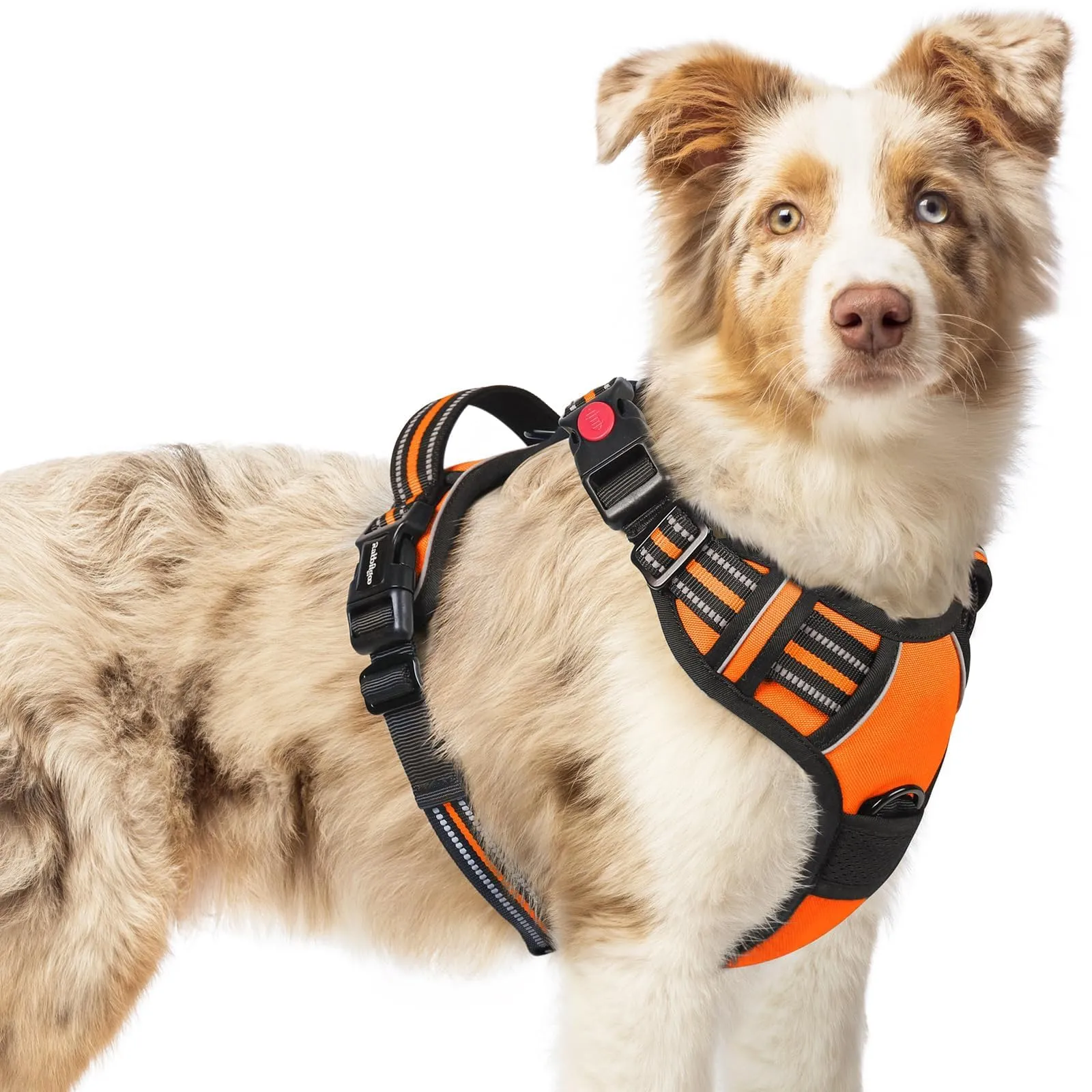 rabbitgoo Pettorina Cane Antifuga ad H con Maniglia e Bande Riflettenti, Arancio, M - immagine 1