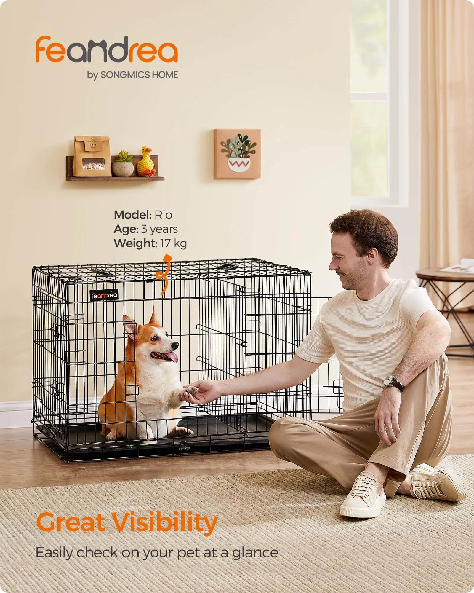 Feandrea Gabbia per Cani Pieghevole con 2 Porte, Divisorio e Vassoio Rimovibile, 92,5 x 57,5 x 64 cm, L, Nero PPD36BK - immagine 2