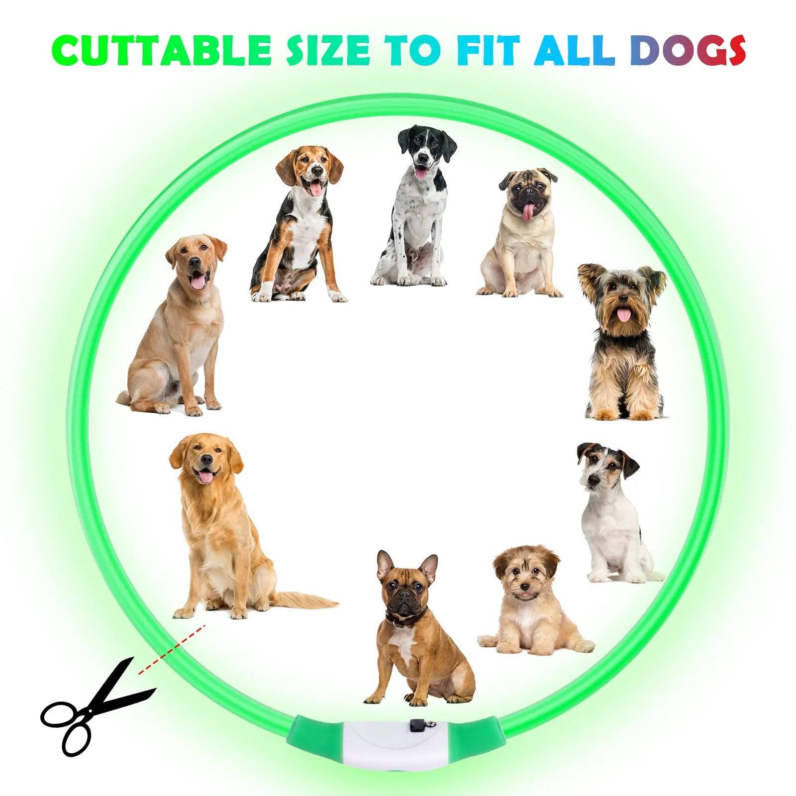 AUAUY Collare Luminoso per Cani LED Ricaricabile USB, Regolabile, Verde - immagine 2