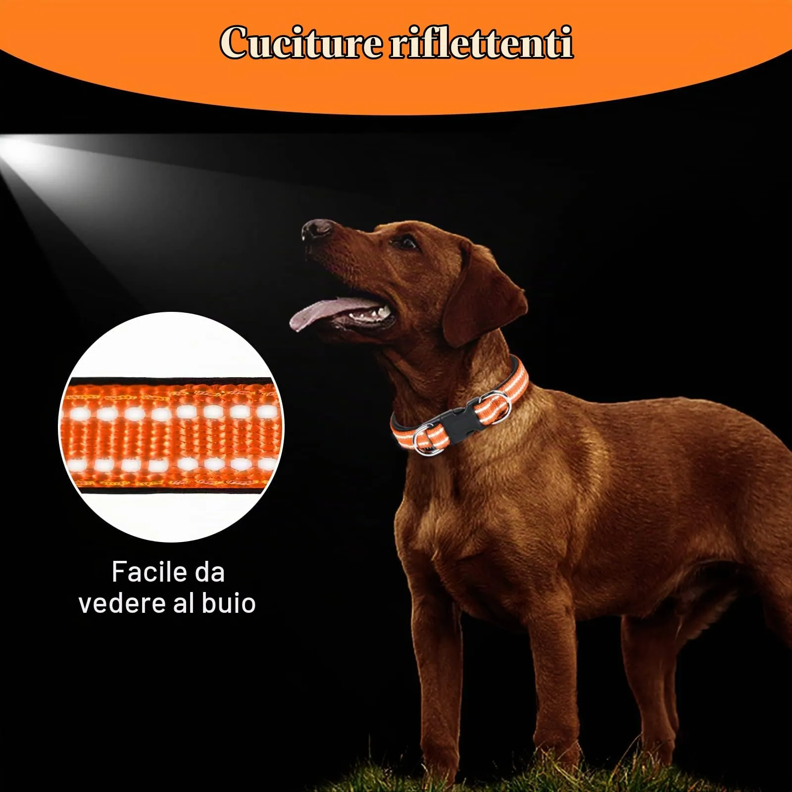 AUAUY Collare per Cane in Nylon Riflettente Regolabile con Doppia D, Arancia, Taglia M - immagine 6