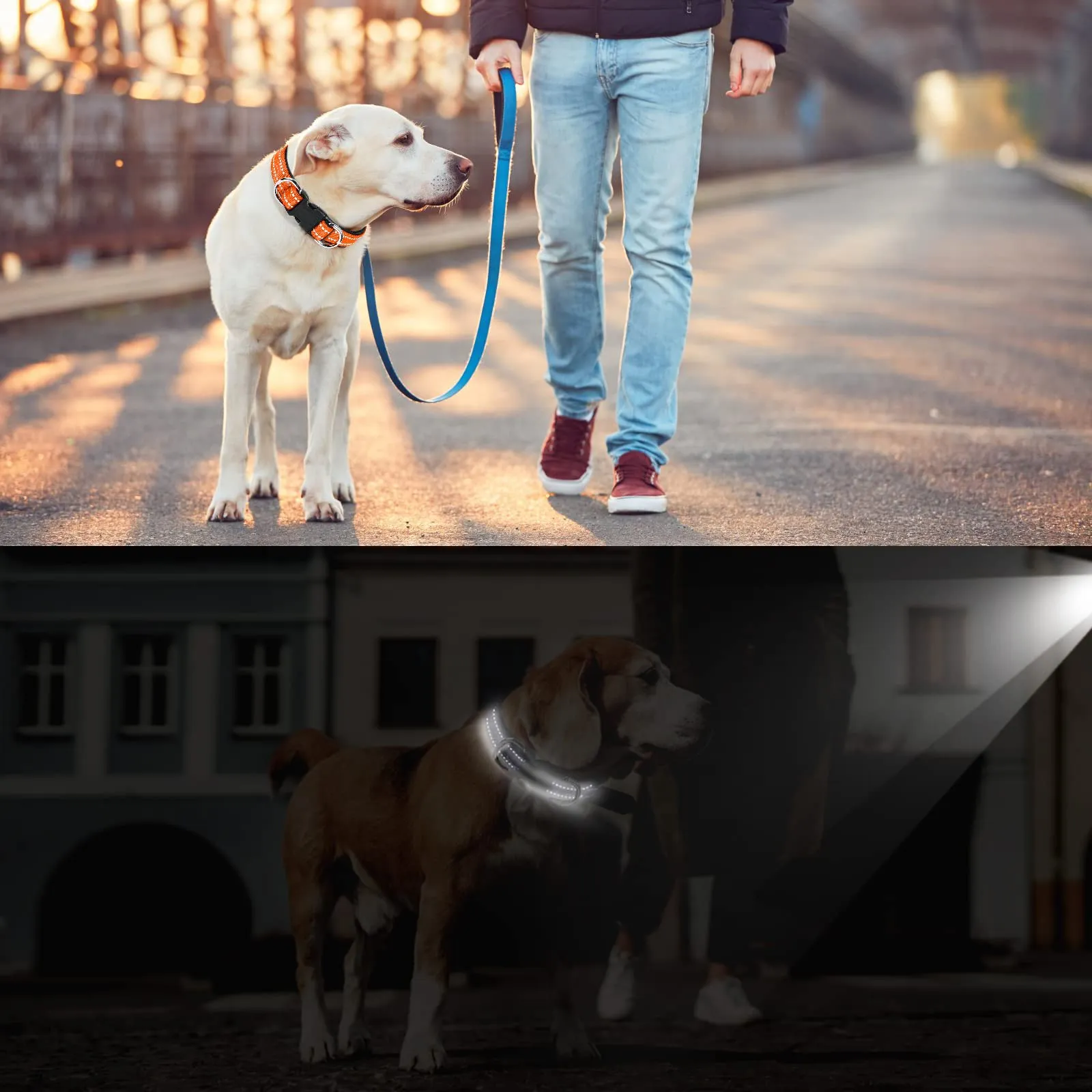 AUAUY Collare per Cane in Nylon Riflettente Regolabile con Doppia D, Arancia, Taglia M - immagine 7