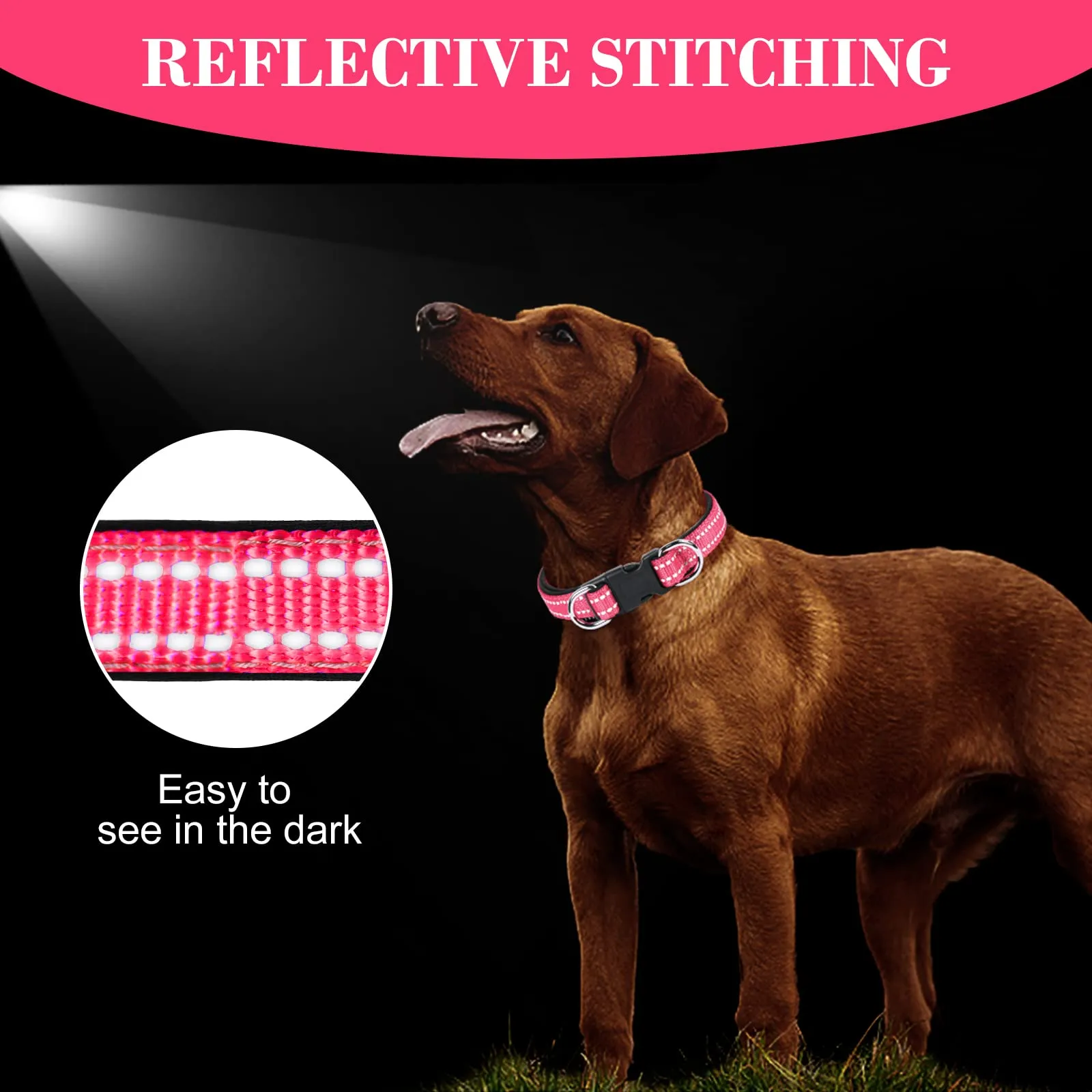 AUAUY Collare Cane in Nylon Riflettente Regolabile con Doppia D, Rossa, S - immagine 4