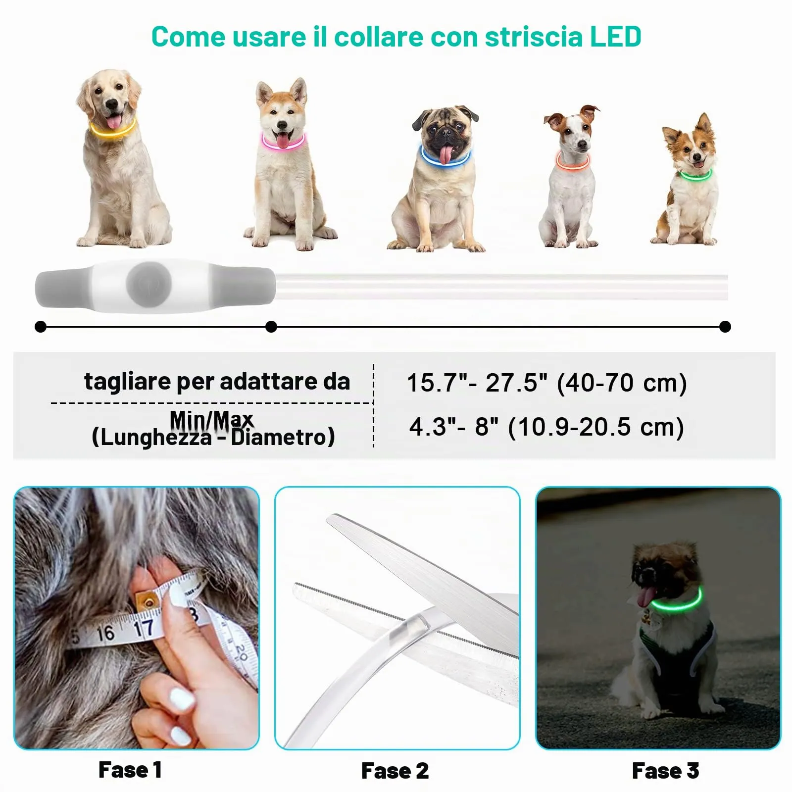 AUAUY Collare Luminoso per Cani LED Ricaricabile USB Regolabile Colorato - immagine 2