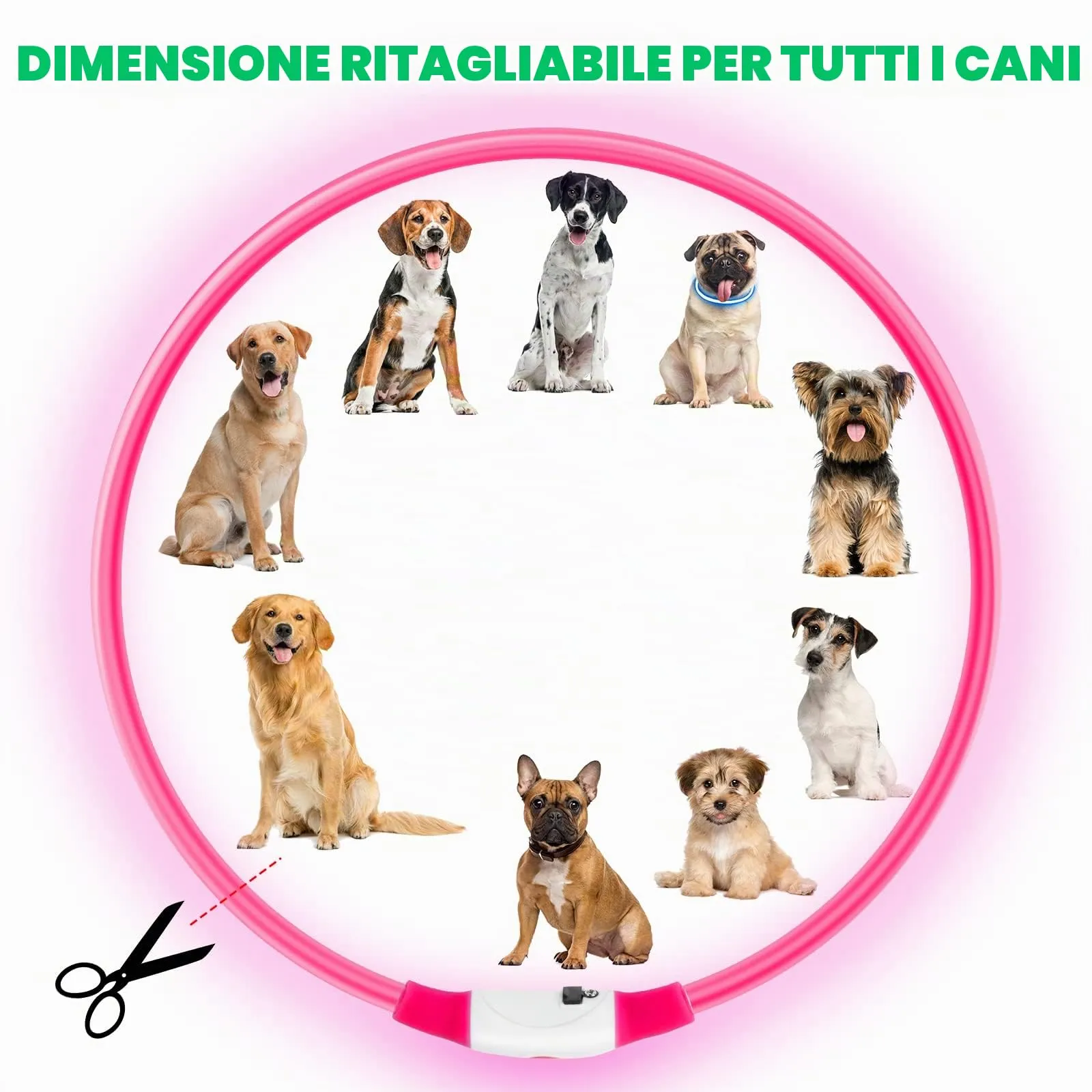AUAUY Collare Luminoso LED per Cani, Ricaricabile USB, Regolabile, Rosa - immagine 2