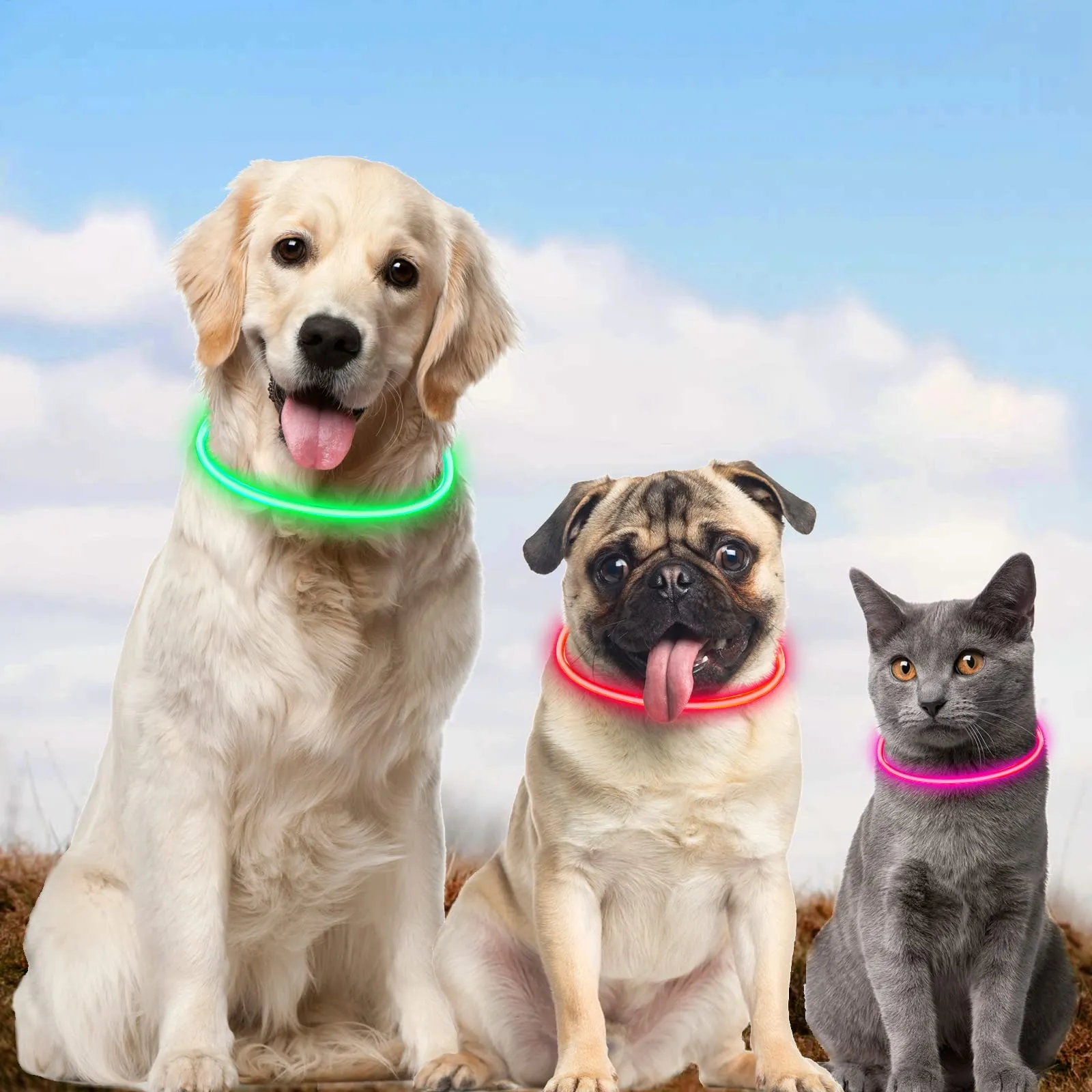 AUAUY Collare Luminoso LED per Cani, Ricaricabile USB, Regolabile, Rosa - immagine 7