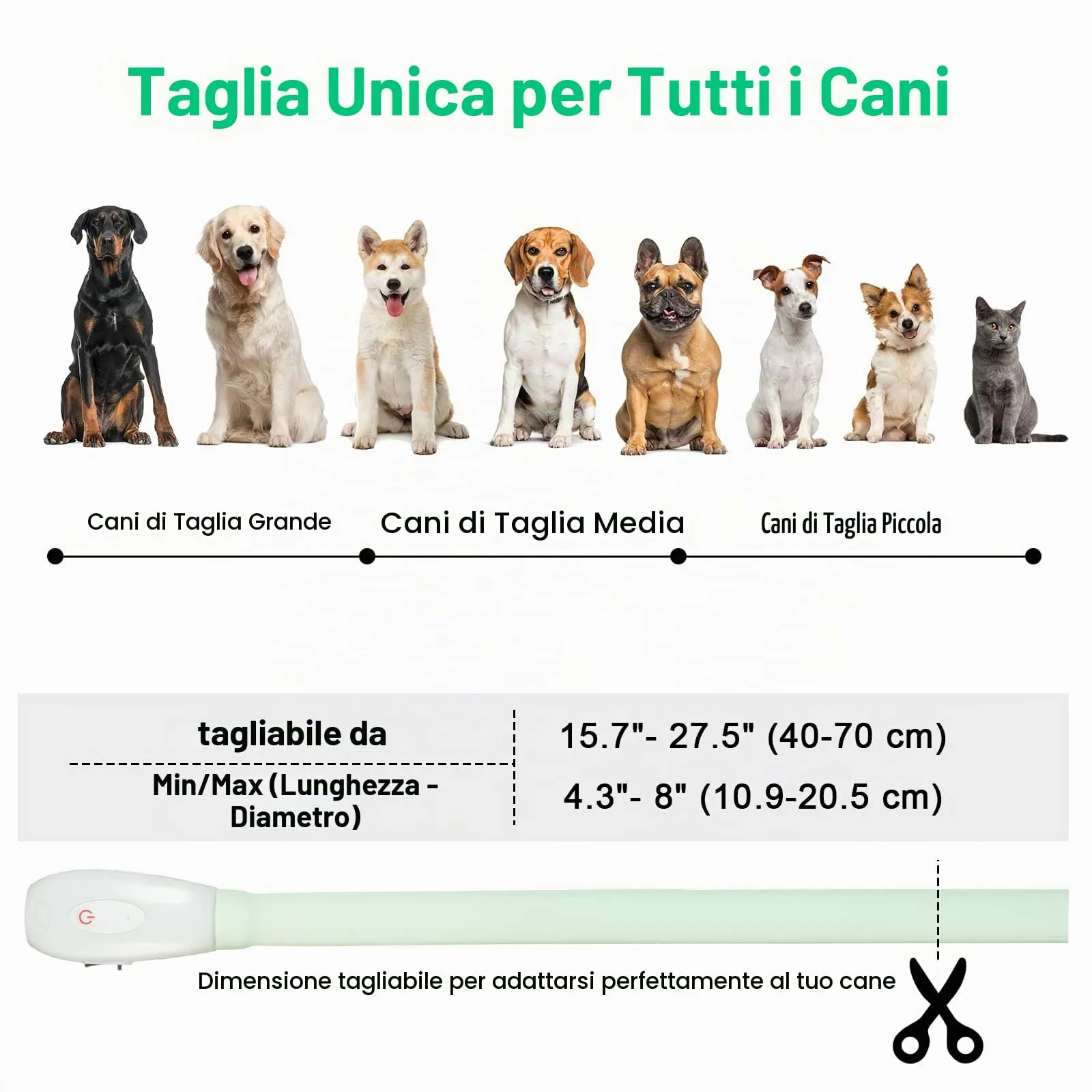 AUAUY Collare Luminoso per Cani, USB Ricaricabile, Regolabile, Multicolore - immagine 3