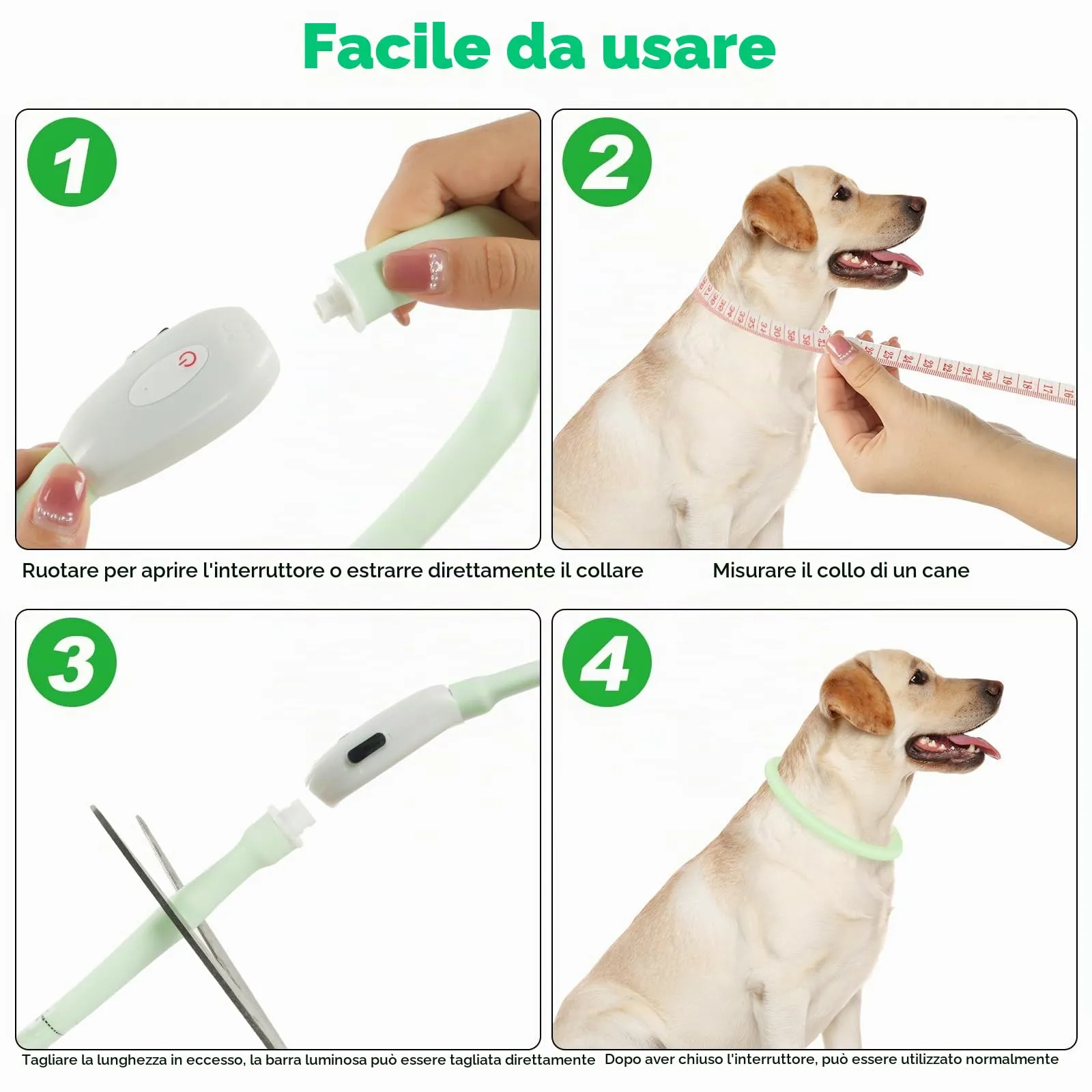 AUAUY Collare Luminoso per Cani, USB Ricaricabile, Regolabile, Multicolore - immagine 4