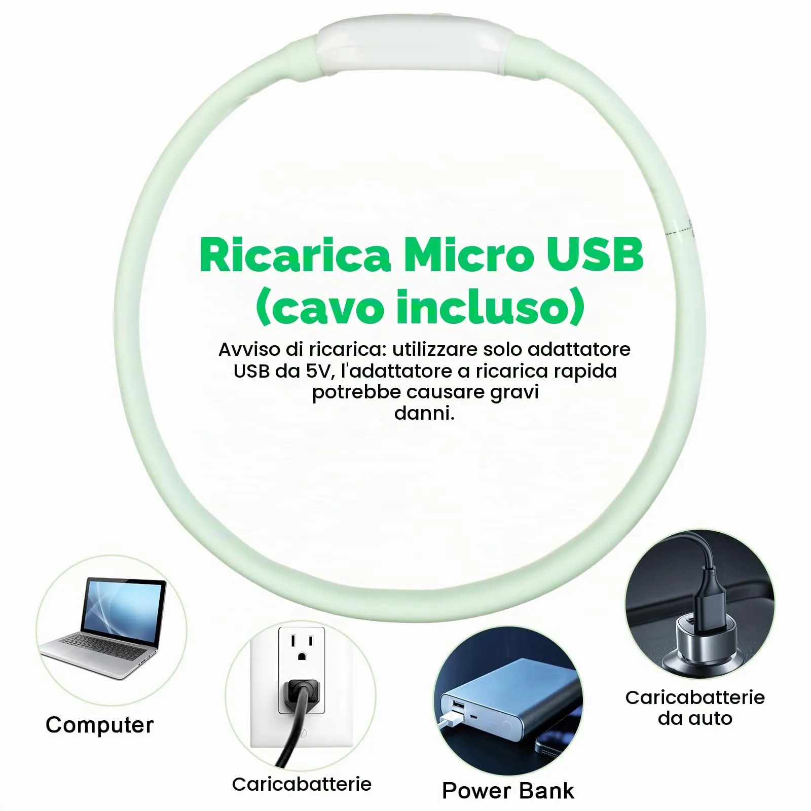 AUAUY Collare Luminoso per Cani, USB Ricaricabile, Regolabile, Multicolore - immagine 5