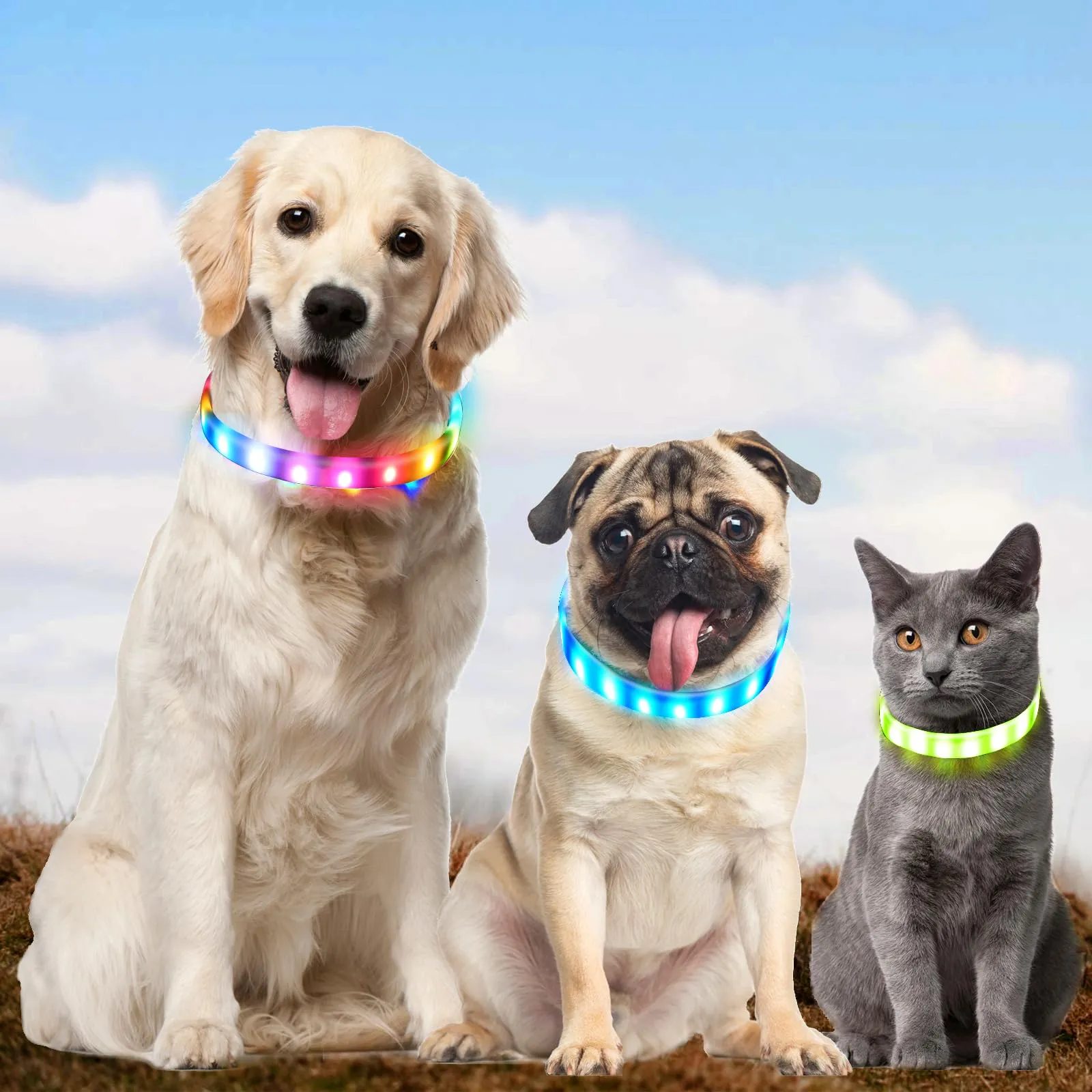 AUAUY Collare Luminoso per Cani, USB Ricaricabile, Regolabile, Multicolore - immagine 7
