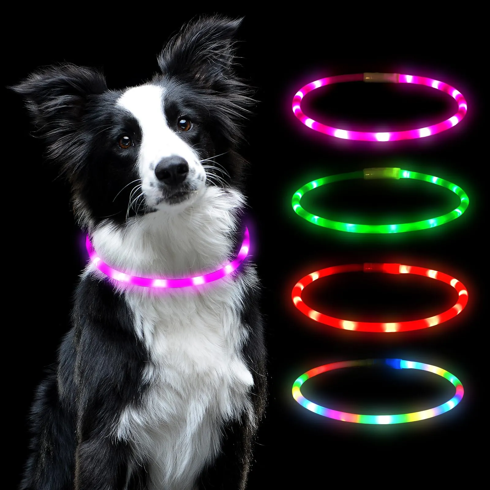 AUAUY Collare Luminoso LED per Cani, Ricaricabile USB, Regolabile, Rosa - immagine 1
