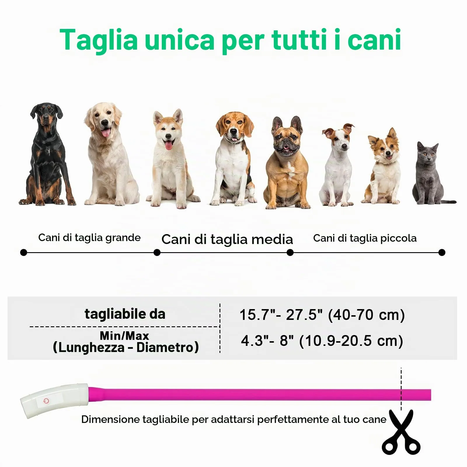 AUAUY Collare Luminoso LED per Cani, Ricaricabile USB, Regolabile, Rosa - immagine 3