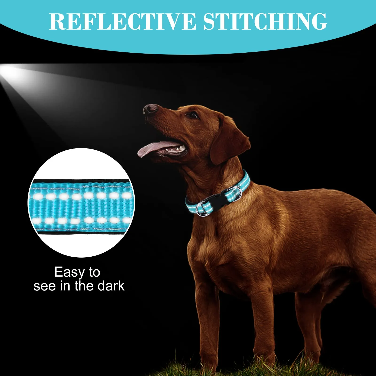AUAUY Collare per Cani in Nylon Riflettente, Imbottito con Doppia D e Fibbia Staccabile, Lago Blu, Taglia S - immagine 2