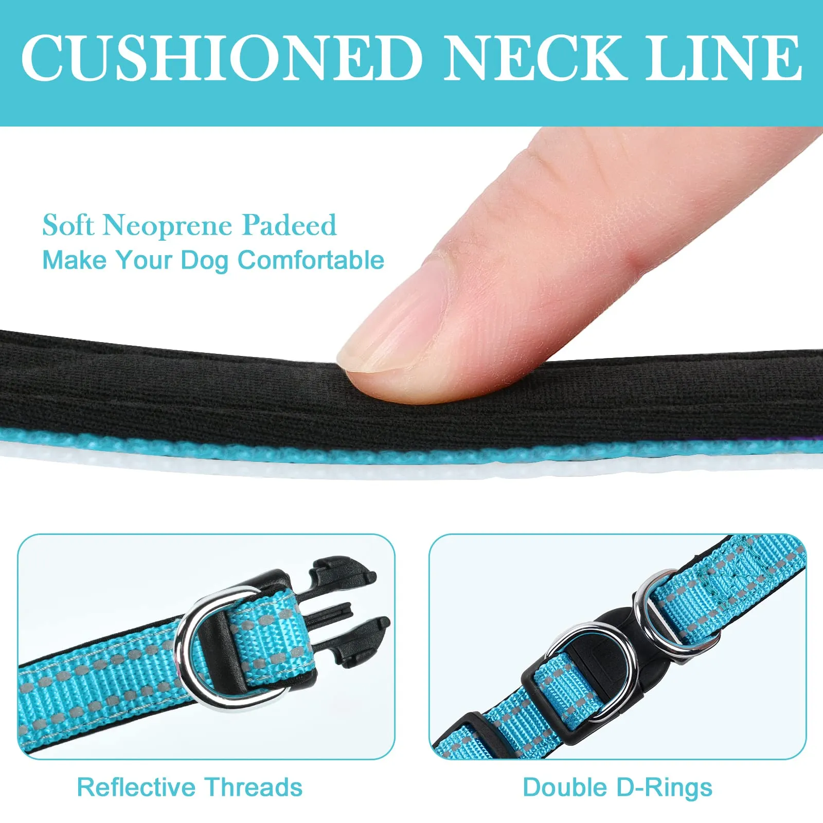AUAUY Collare per Cani in Nylon Riflettente, Imbottito con Doppia D e Fibbia Staccabile, Lago Blu, Taglia S - immagine 5