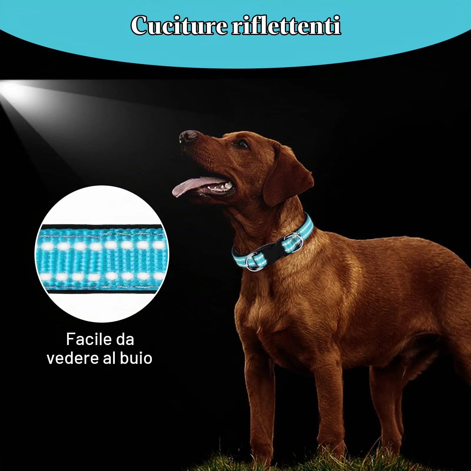 AUAUY Collare Cane in Nylon Riflettente Regolabile con Doppia D, Blu, L - immagine 7
