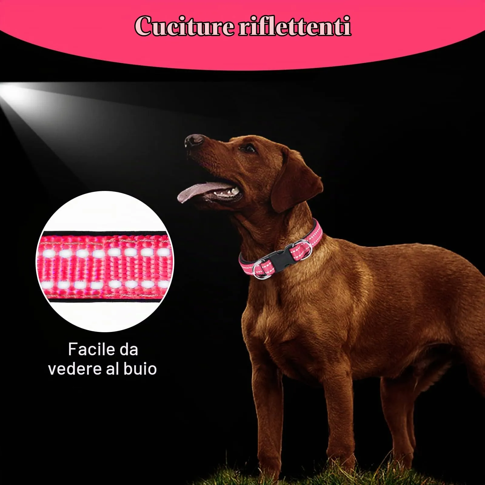 AUAUY Collare Cane in Nylon Riflettente Regolabile con Doppia D, Rossa, L - immagine 7