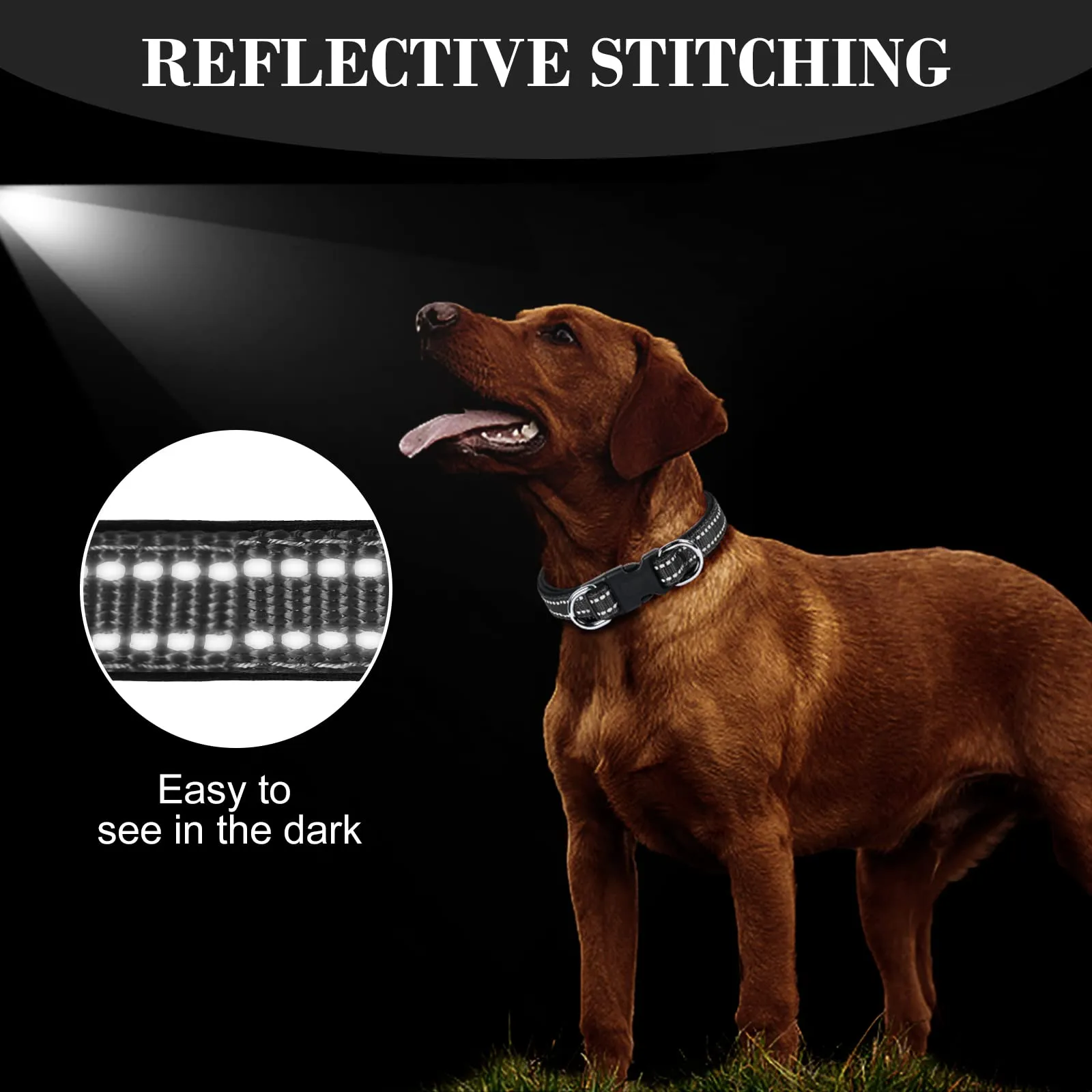AUAUY Collare Cane in Nylon Riflettente, Regolabile, Doppia D, Nero, S - immagine 2
