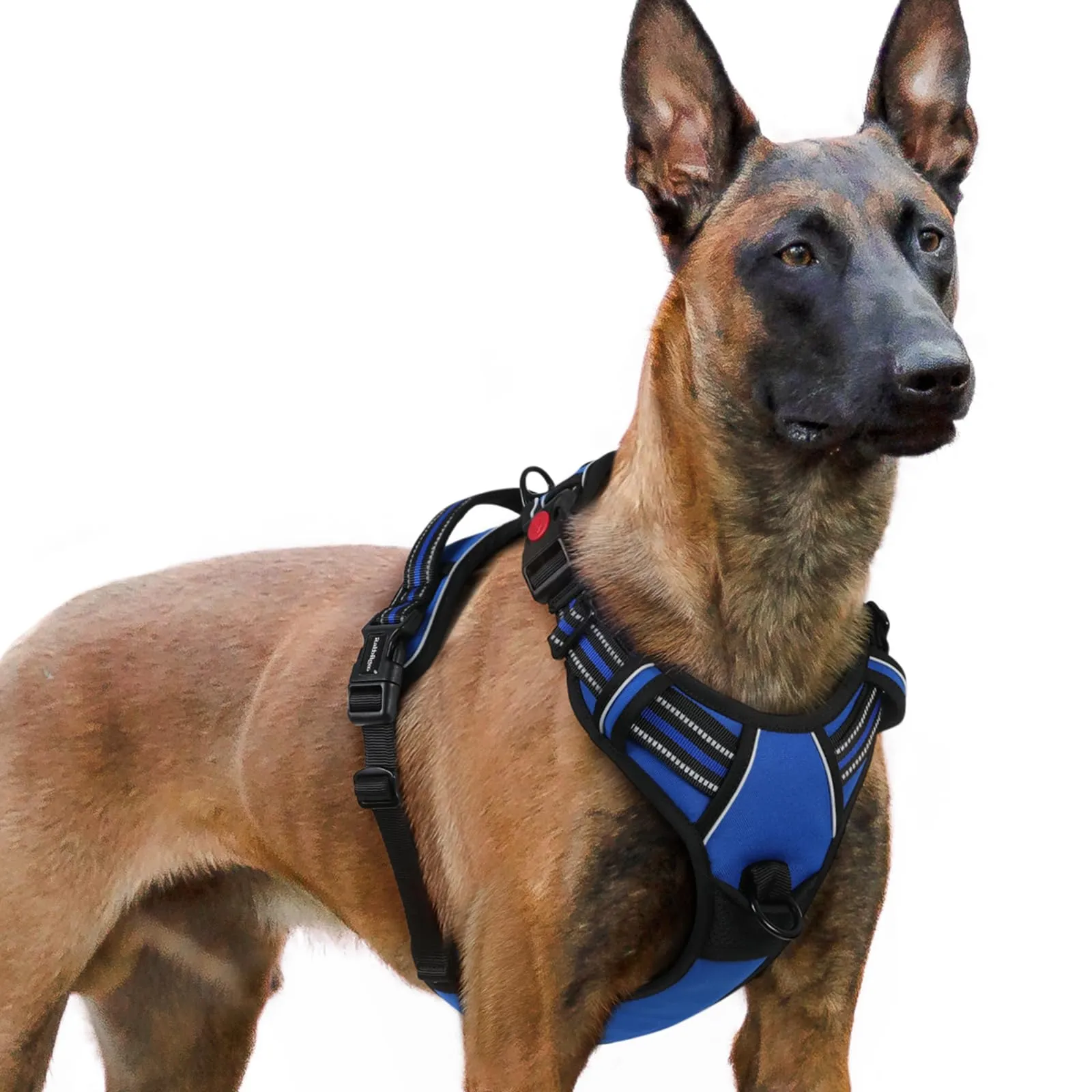 rabbitgoo Pettorina Cane Antifuga ad H con Maniglia e Bande Riflettenti, Blu, XL - immagine 1