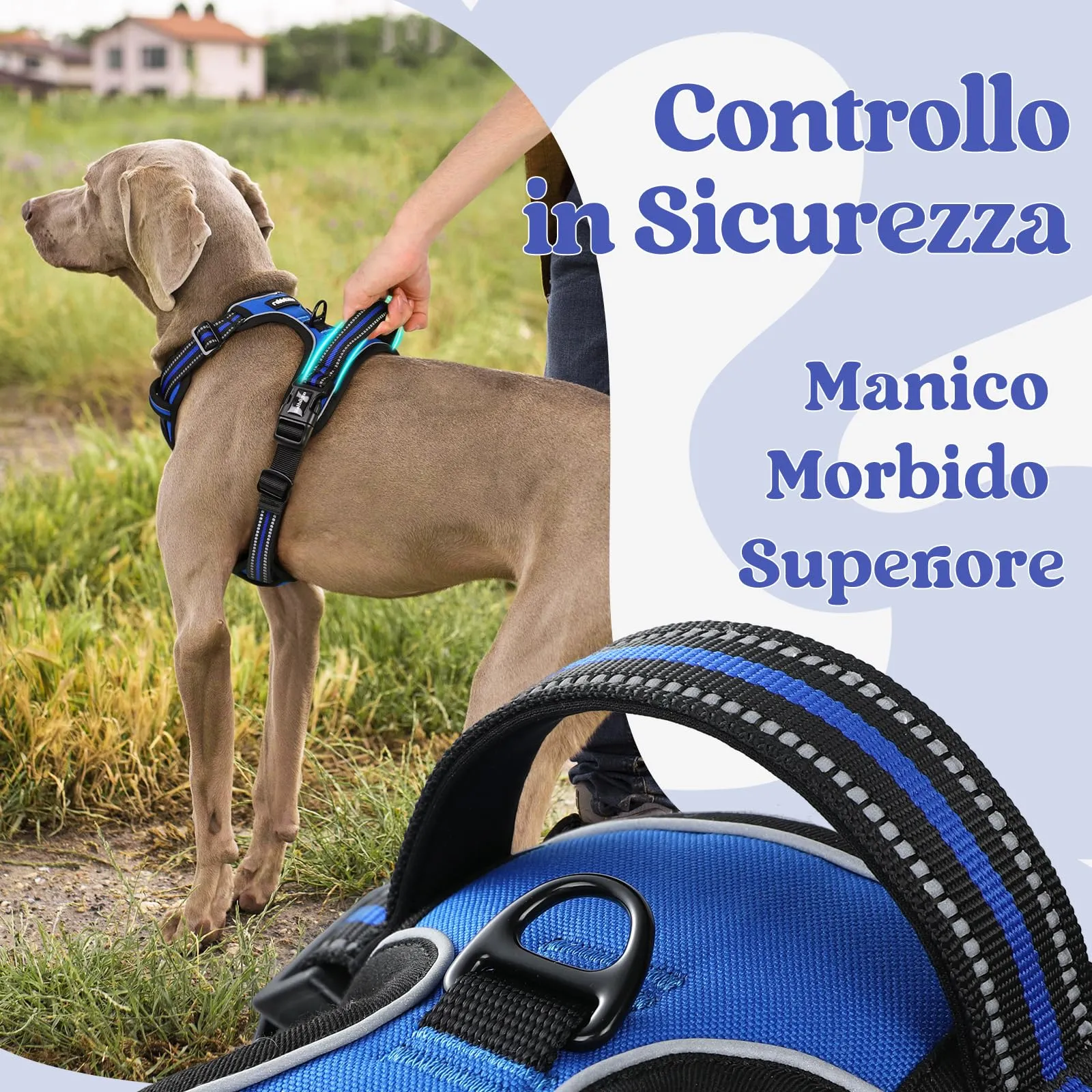 rabbitgoo Pettorina Cane Antifuga ad H con Maniglia e Bande Riflettenti, Blu, XL - immagine 5